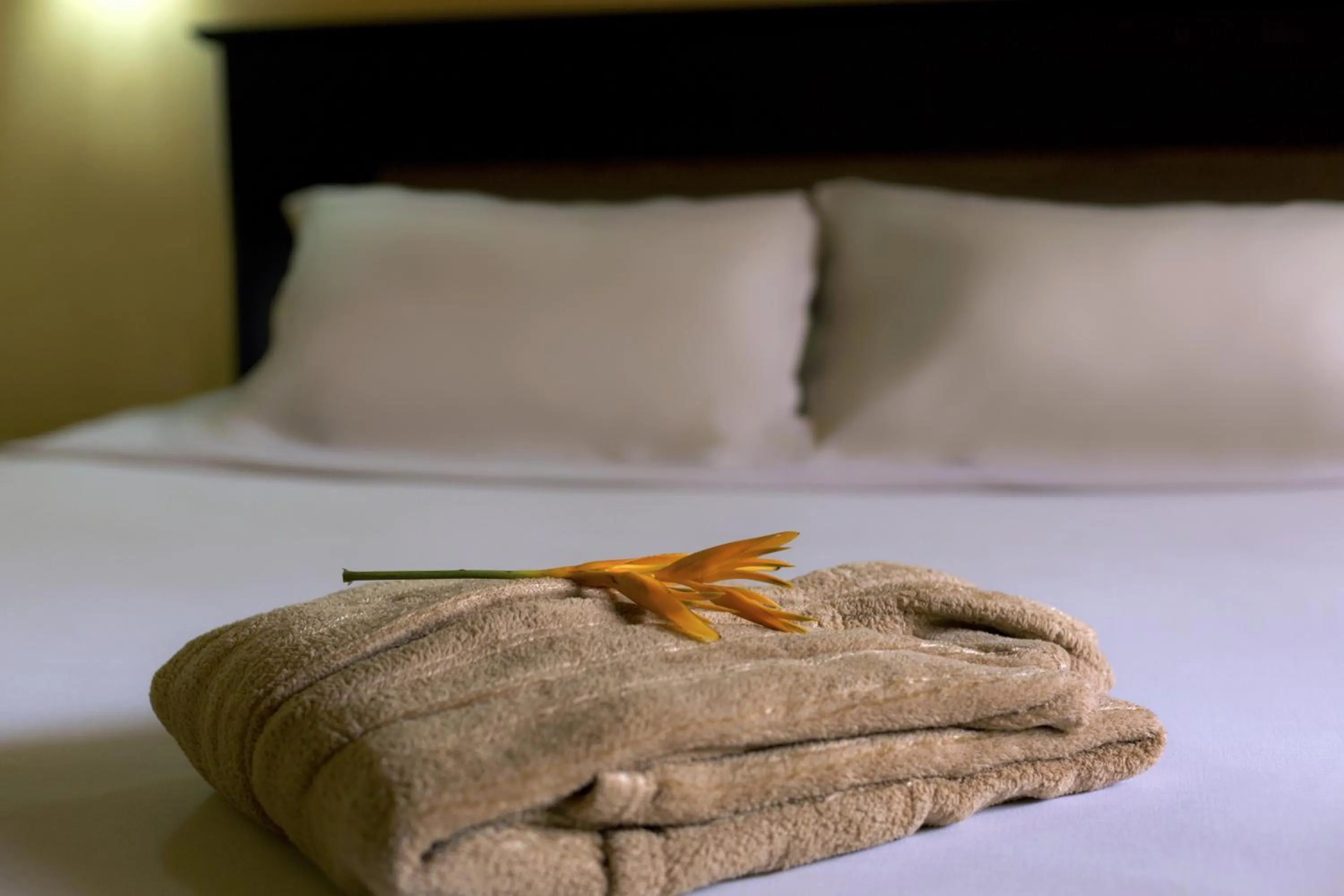 Bed in Dunia Hôtel Bissau