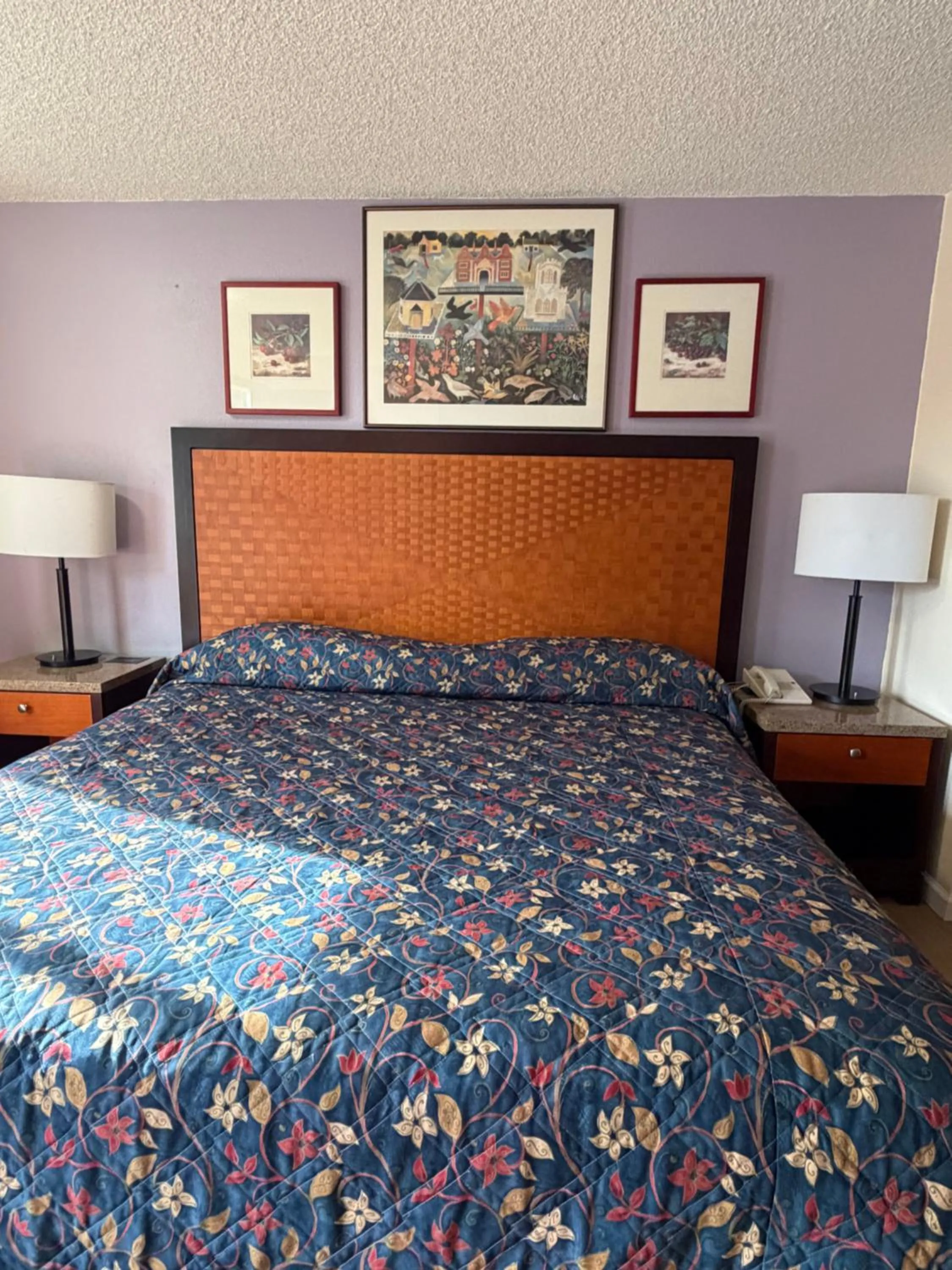 Deluxe Room (2 Adults + 1 Child) in Federal Way Motel
