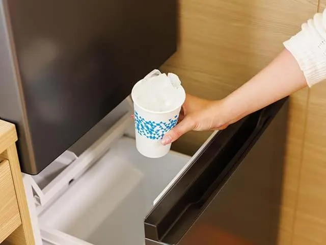 HOTEL DREAM GATE maihama