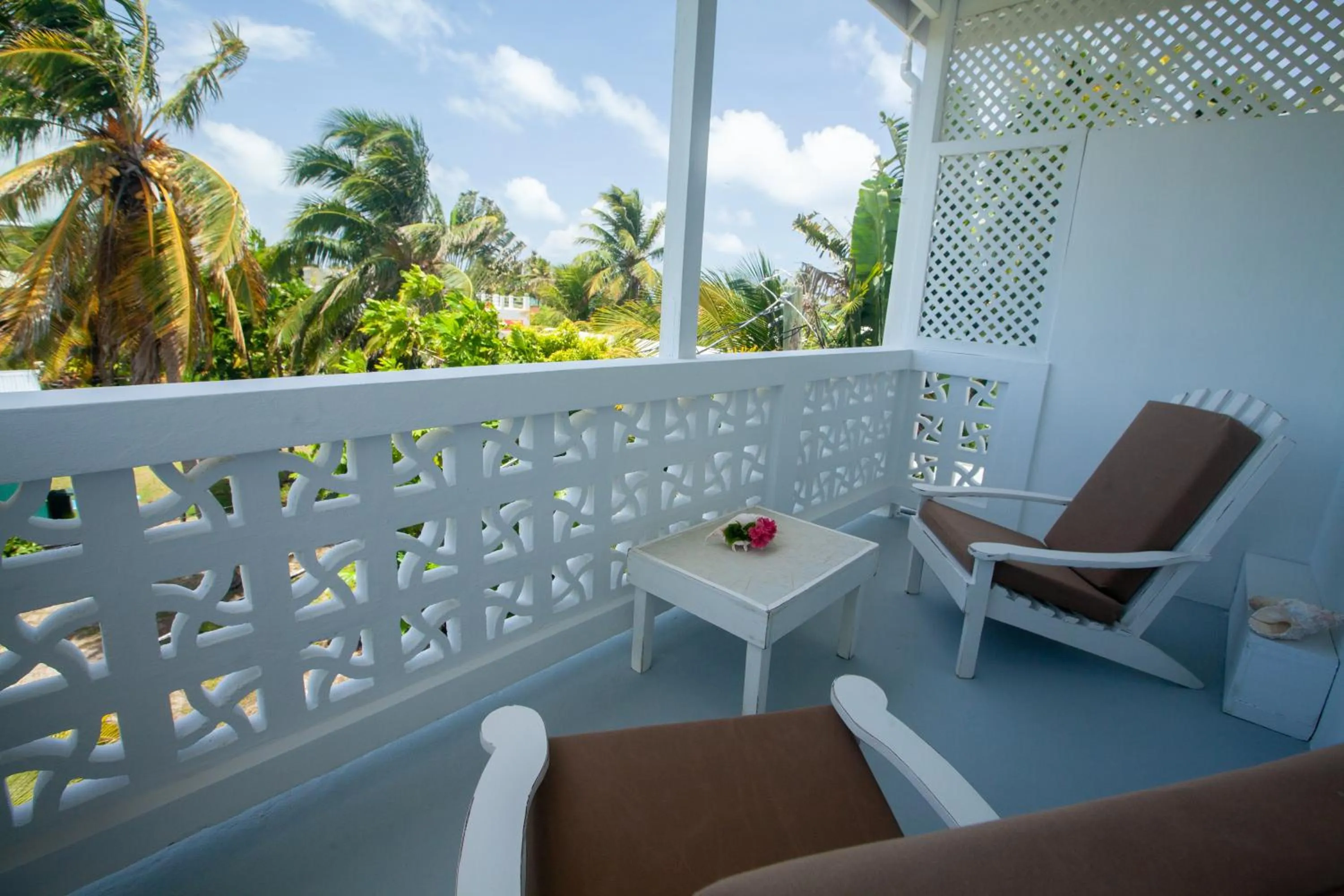 Balcony/Terrace in Treetops Hotel