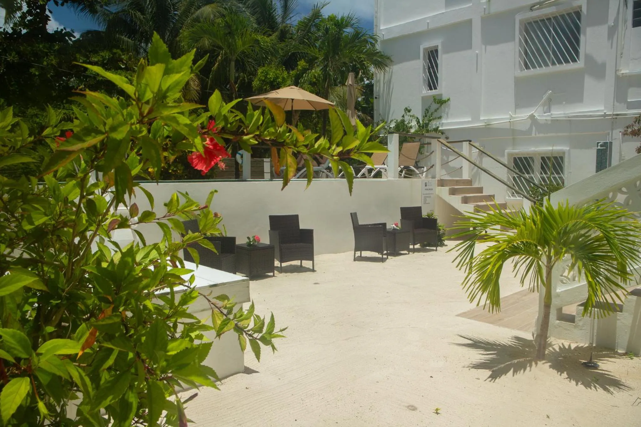 Swimming pool in Treetops Hotel