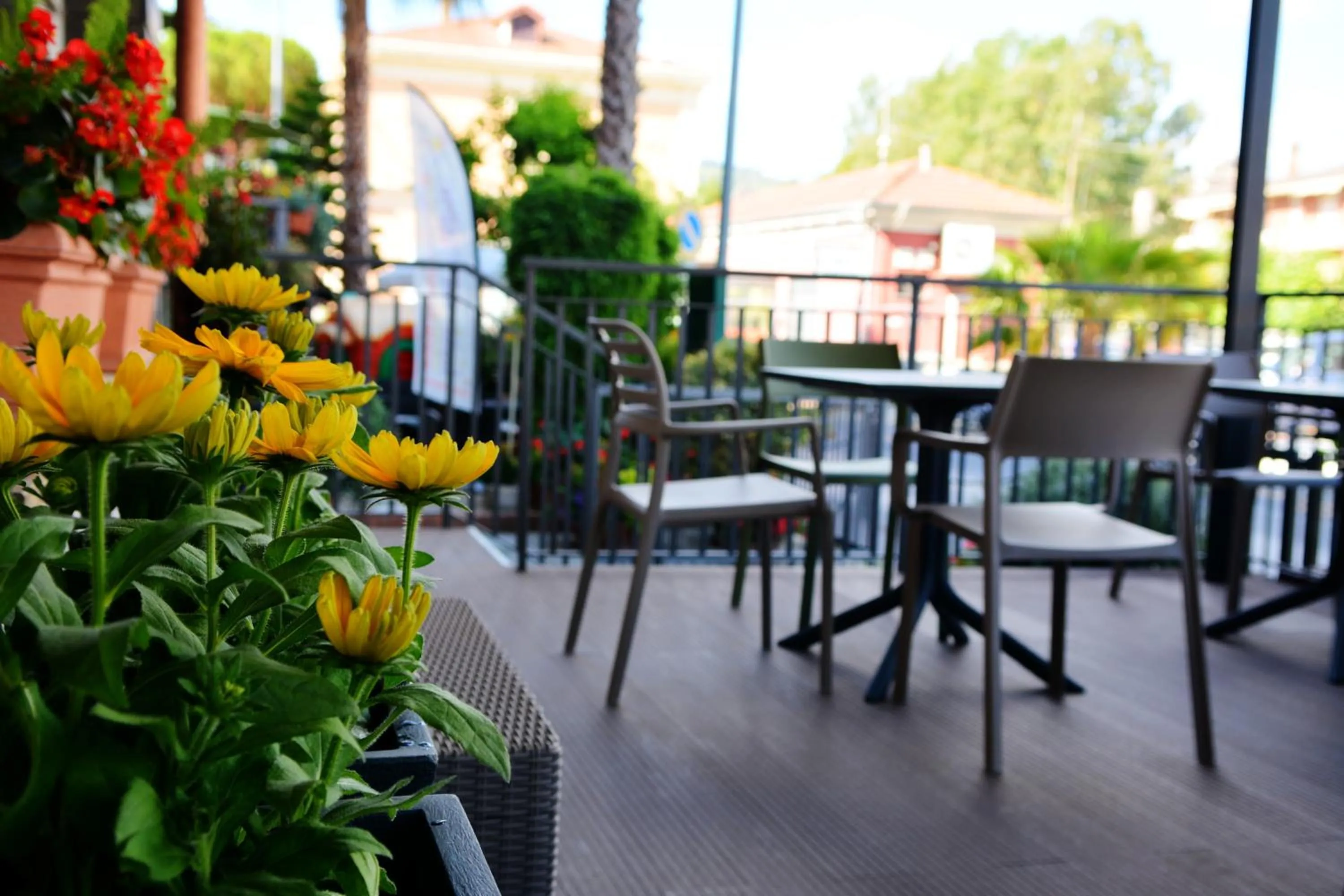 Breakfast in Hotel Olympic