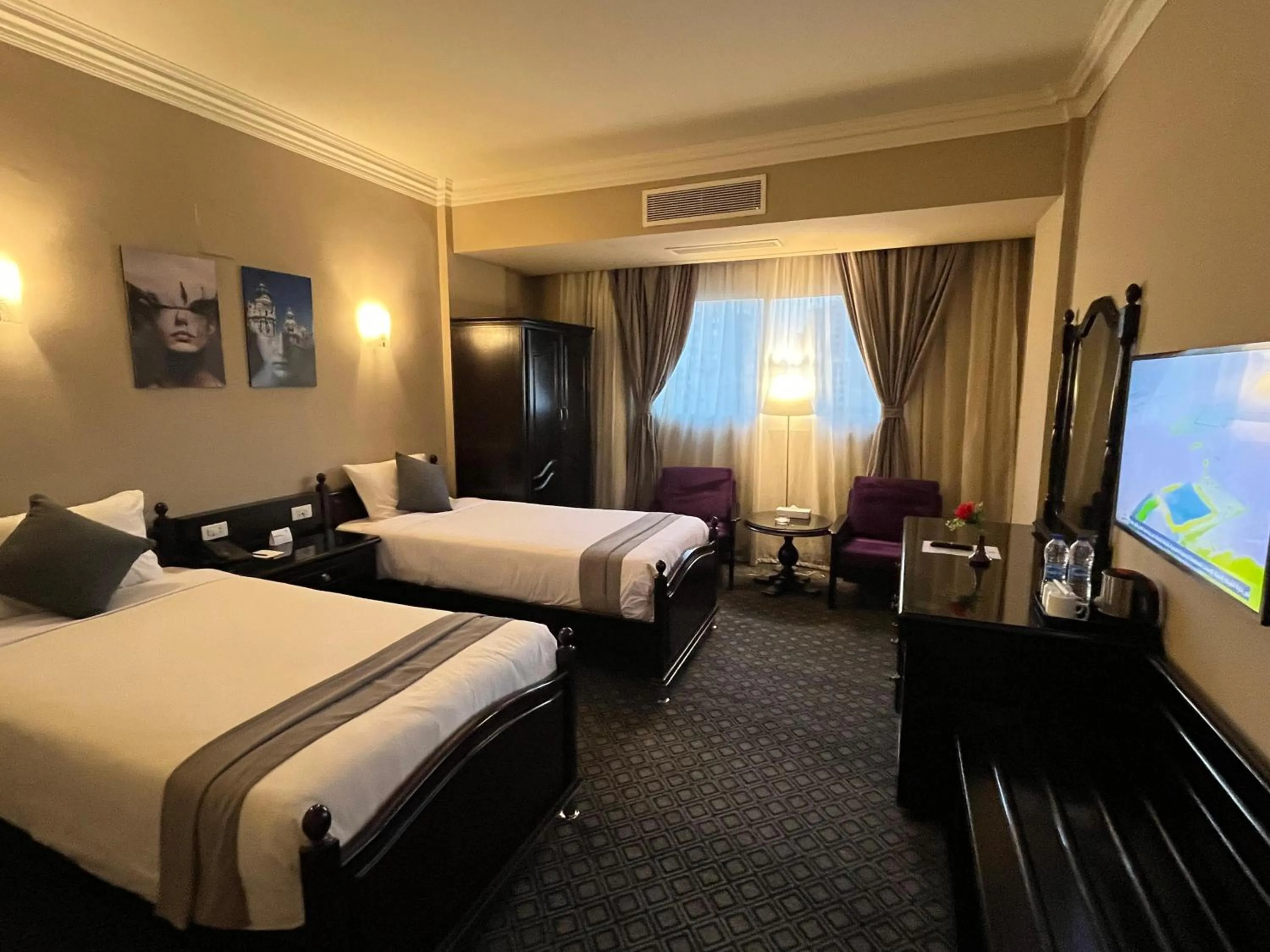 Standard Double or Twin Room - single occupancy in New Marwa Palace