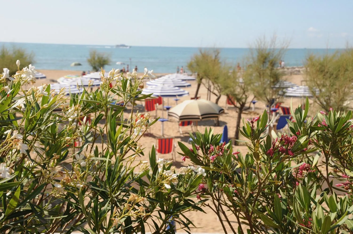Beach in Hotel Fenix