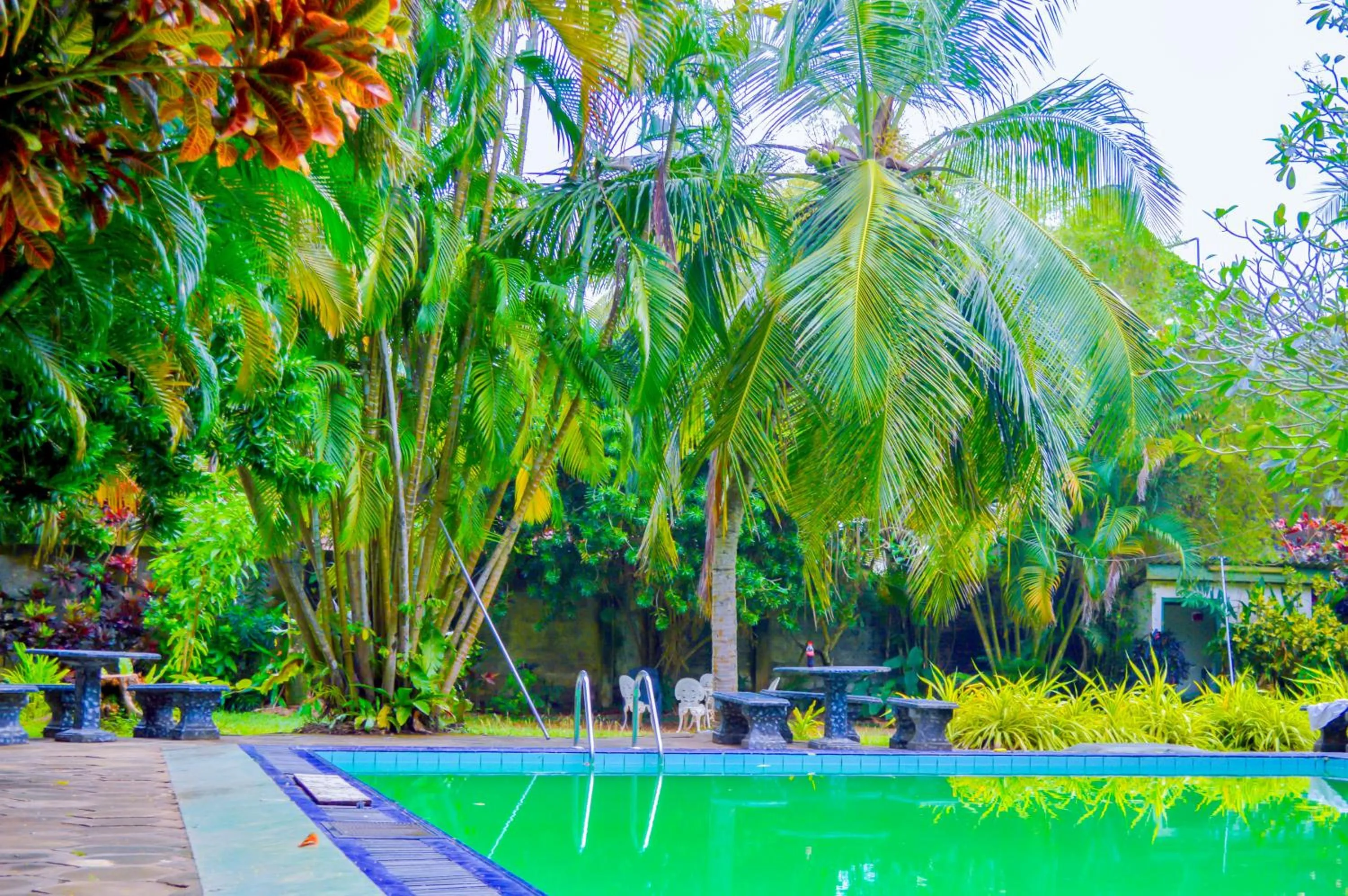 Garden in New White Haven