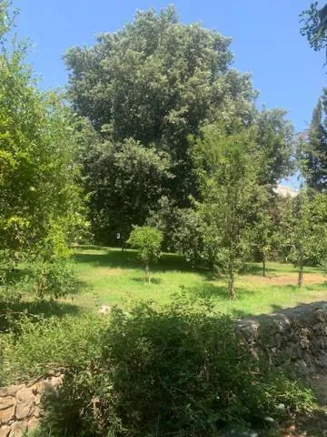 B&B Madreperla
