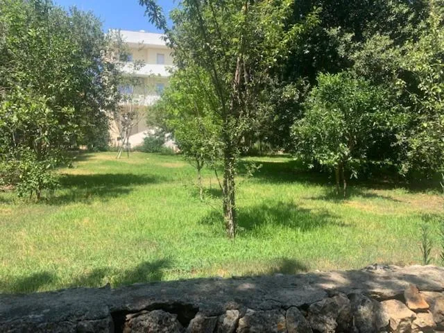 B&B Madreperla