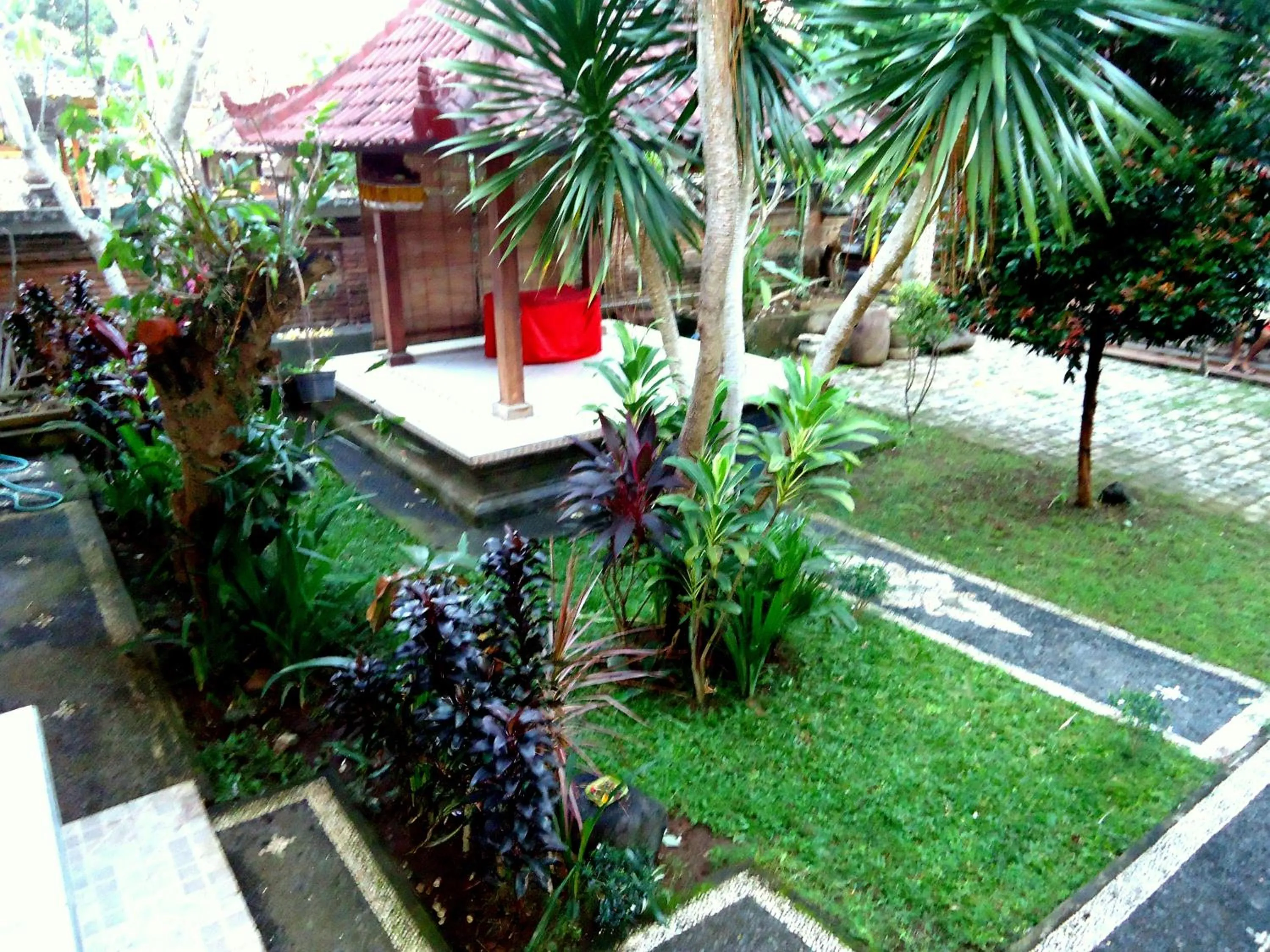 Garden in Dewa Put Guest House