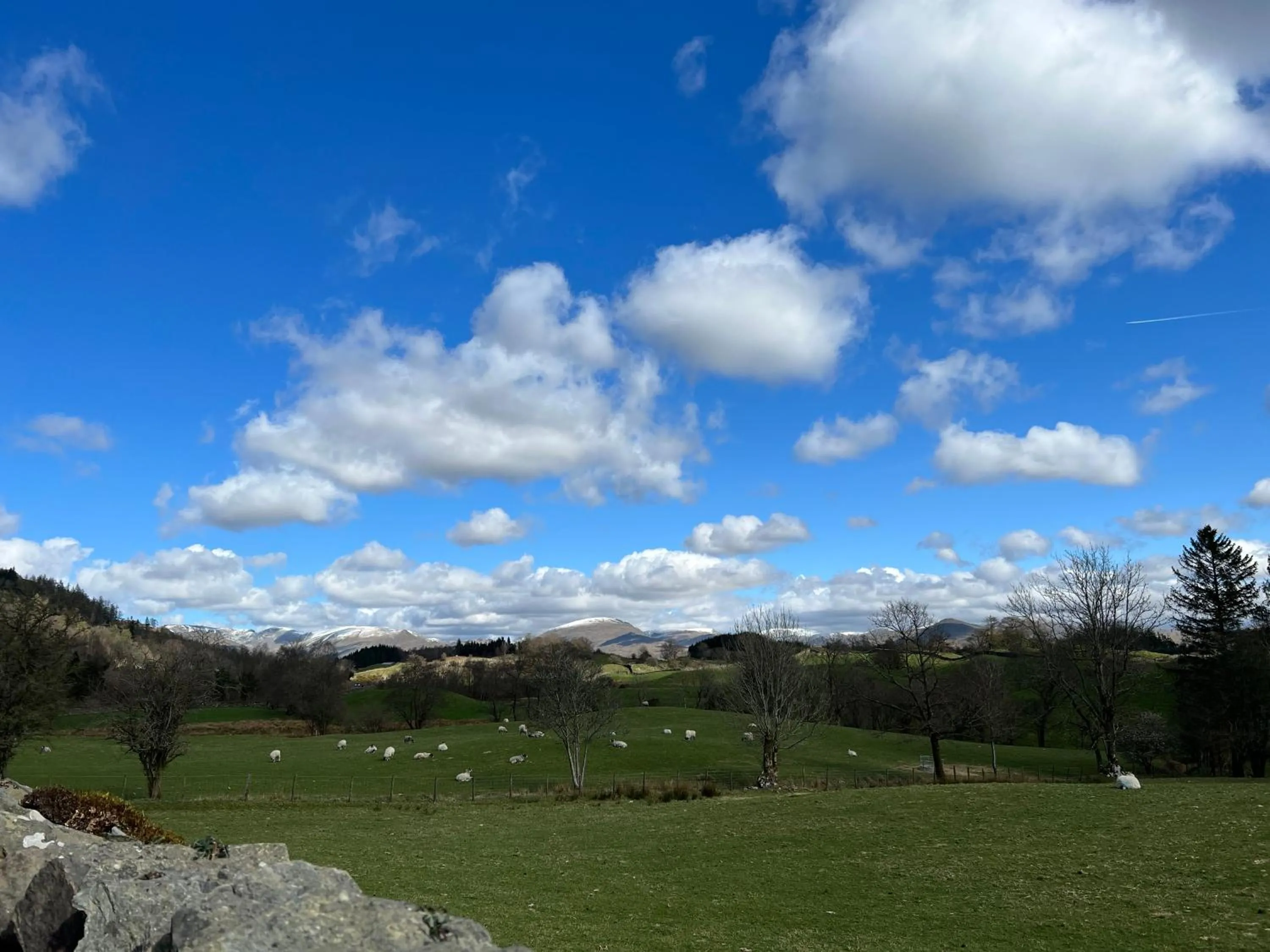 Natural landscape in High Grassings Country House