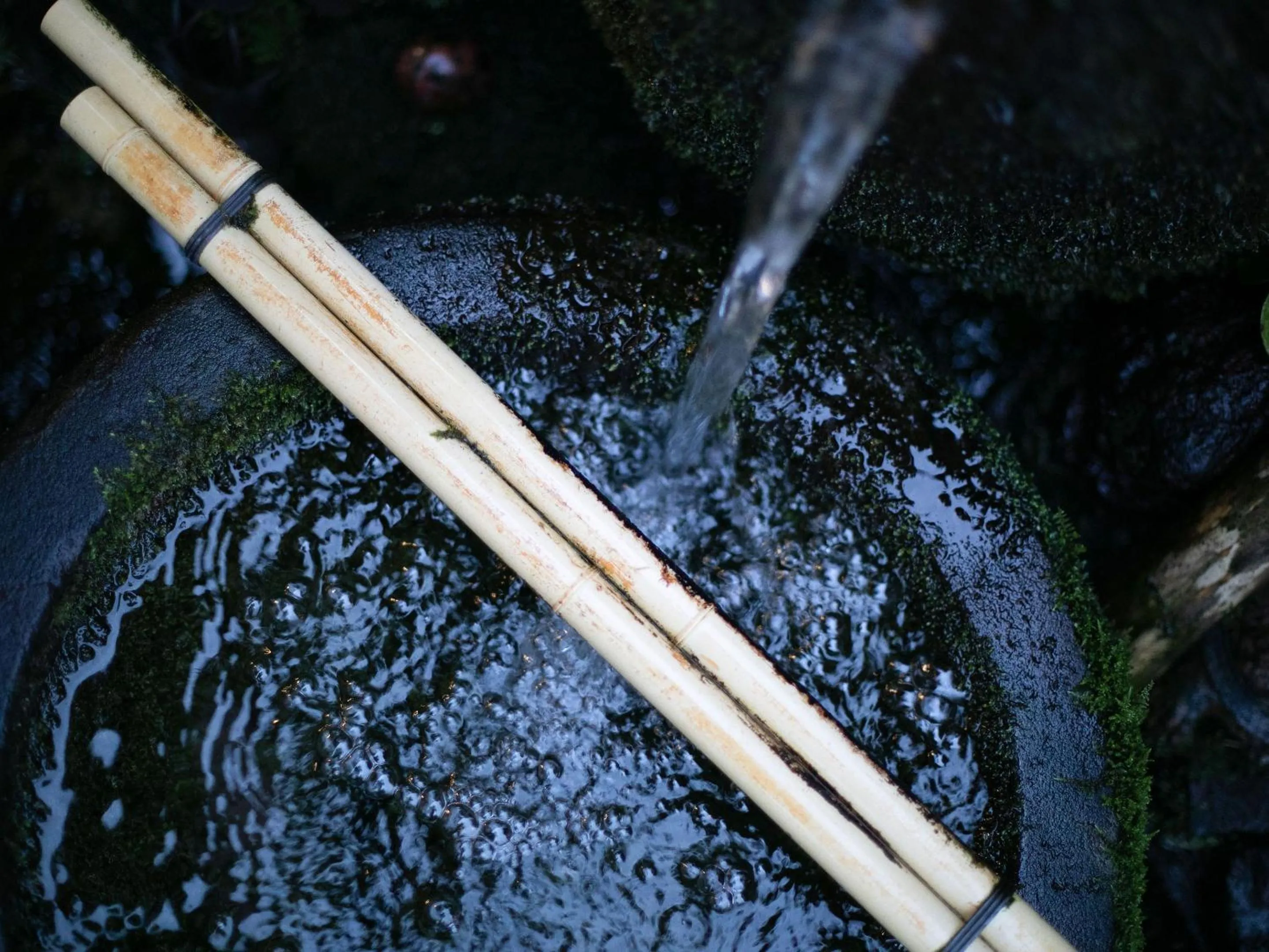 Area and facilities in AsoTsuruya