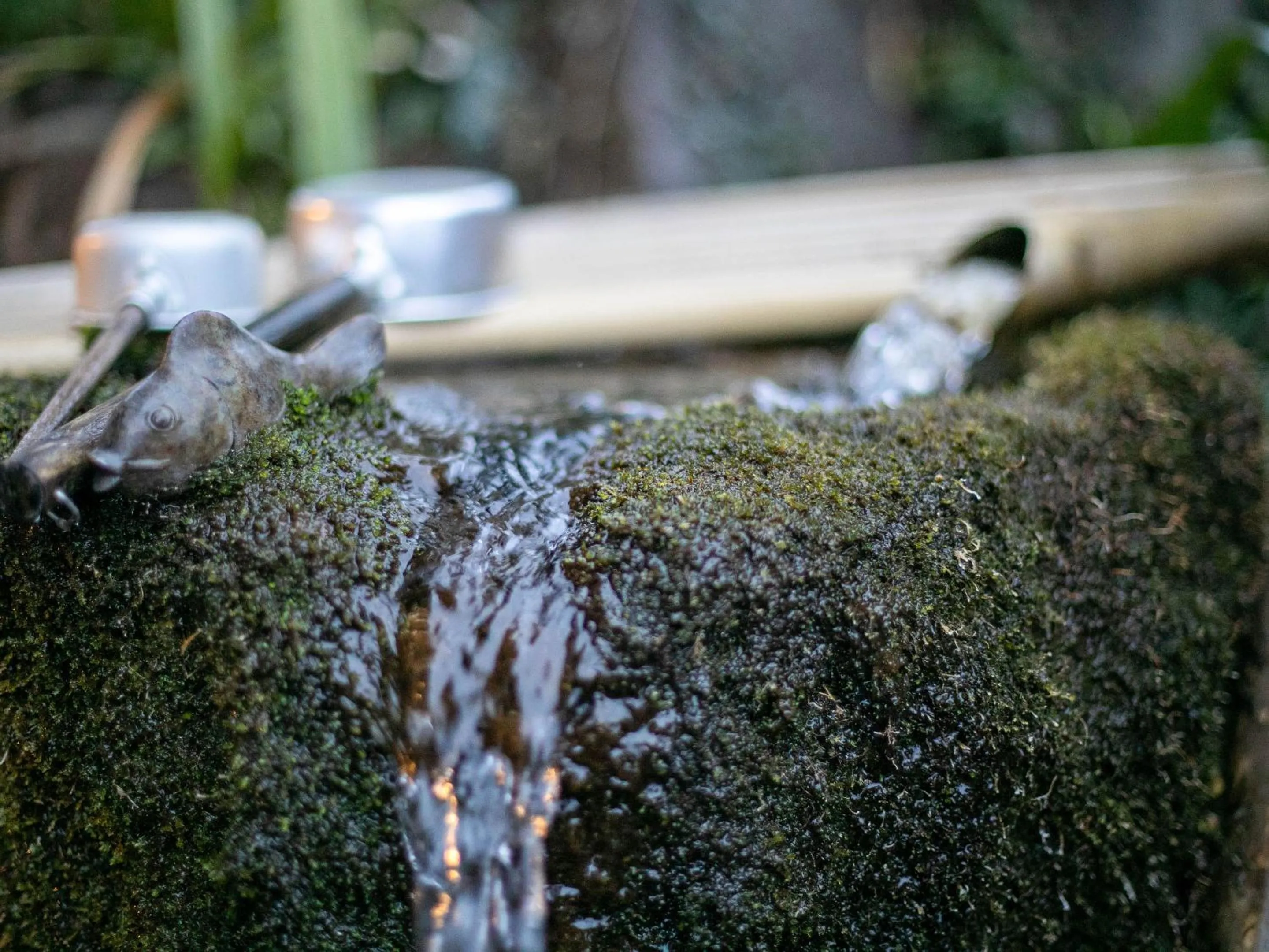 Area and facilities in AsoTsuruya