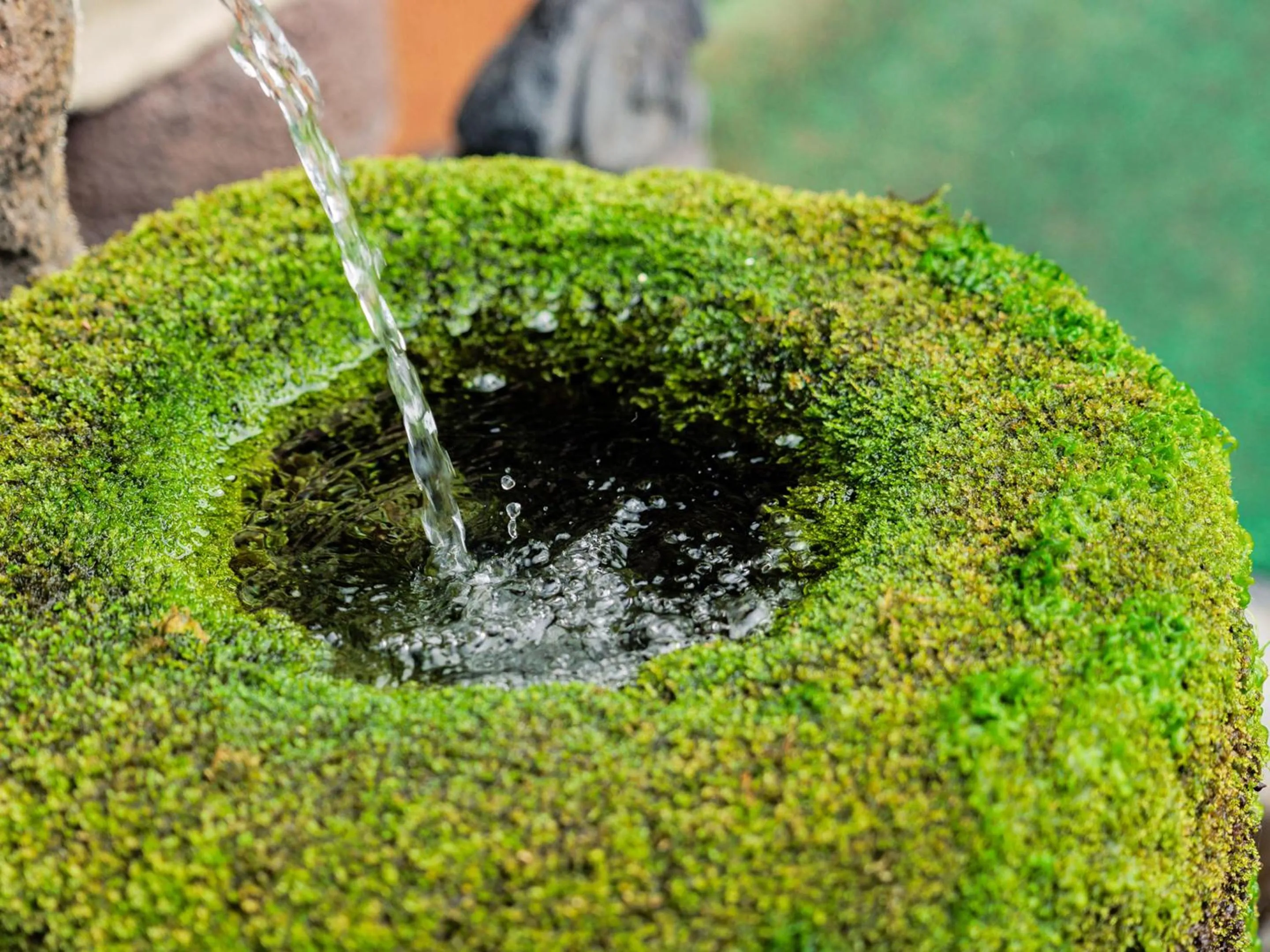 Area and facilities in AsoTsuruya