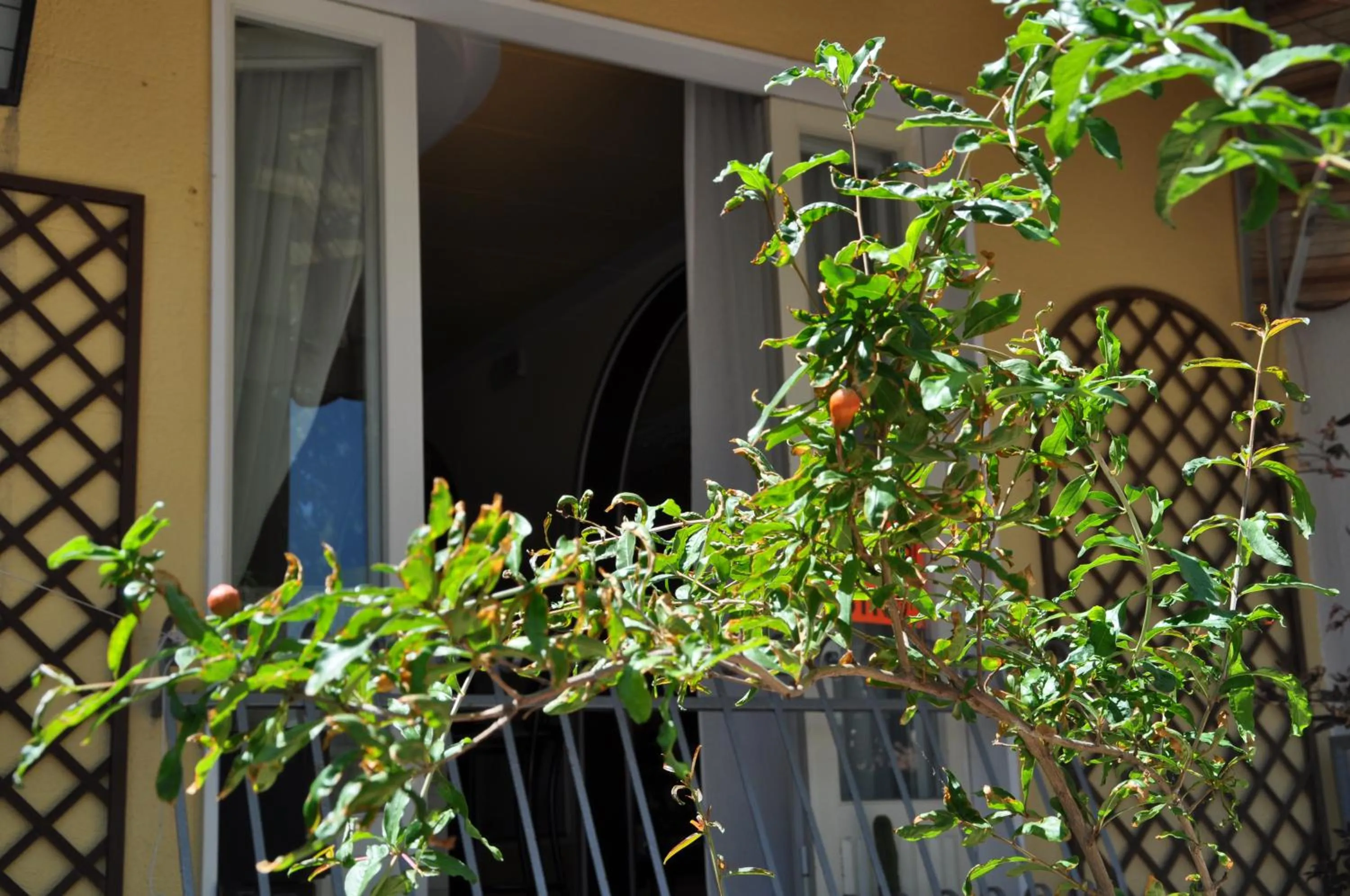 Other in Hotel Corallo Garnì