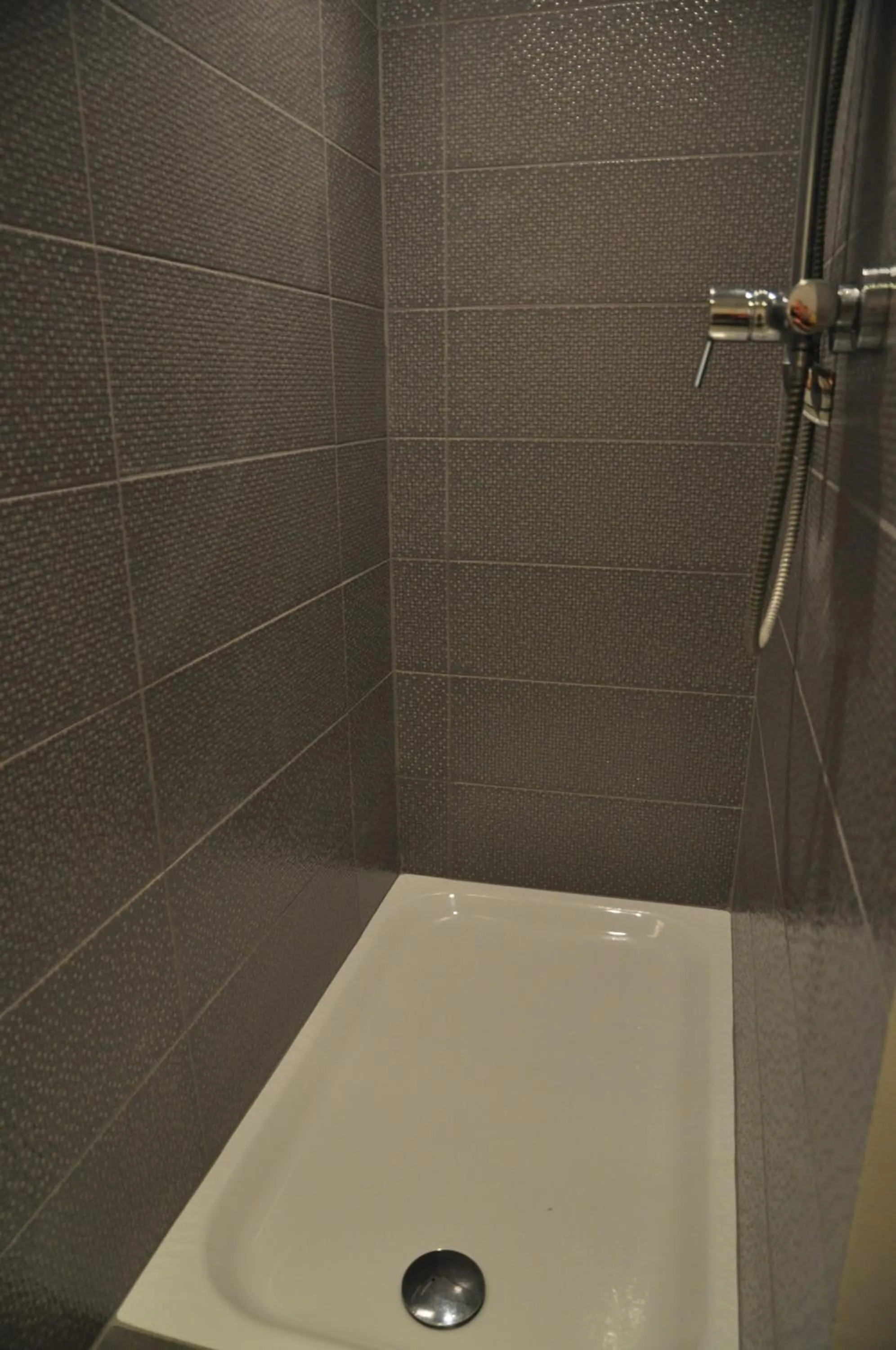 Shower in Apartment Home Frit Home