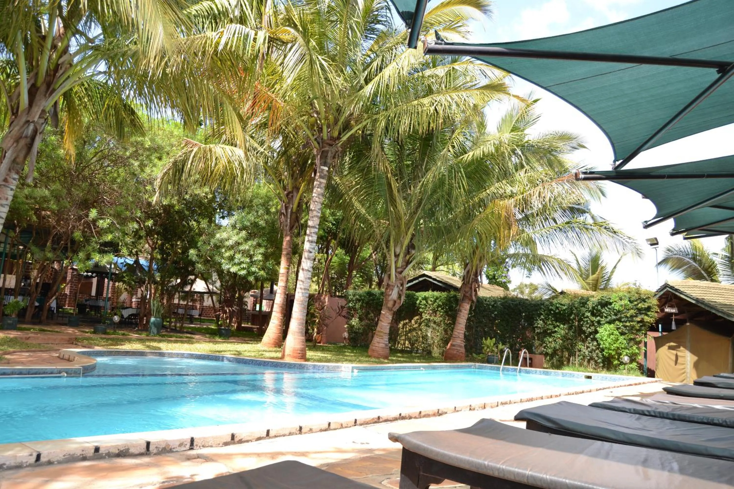 Property building in Impala Safari Lodge