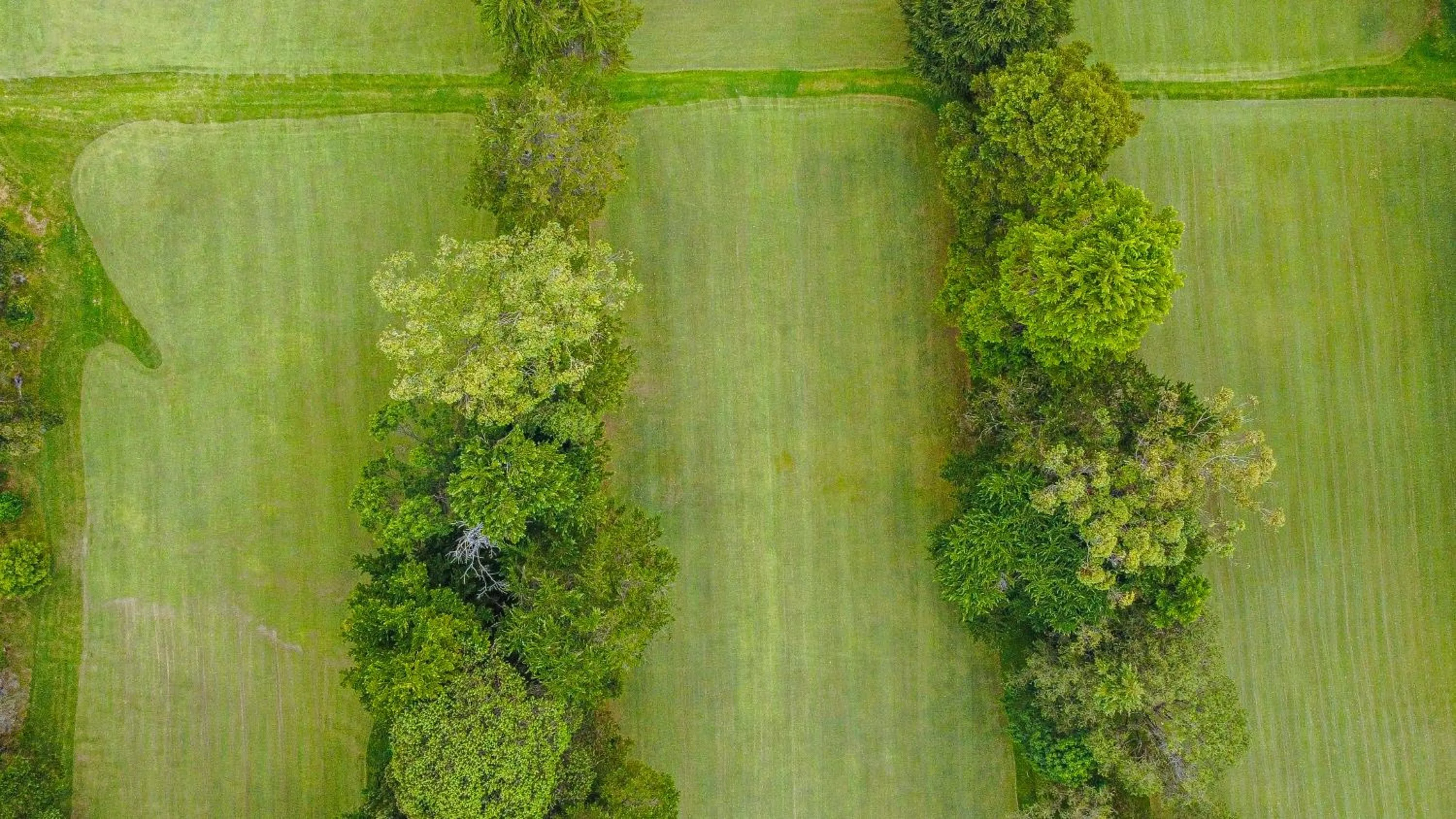 Nuwara Eliya Golf Club