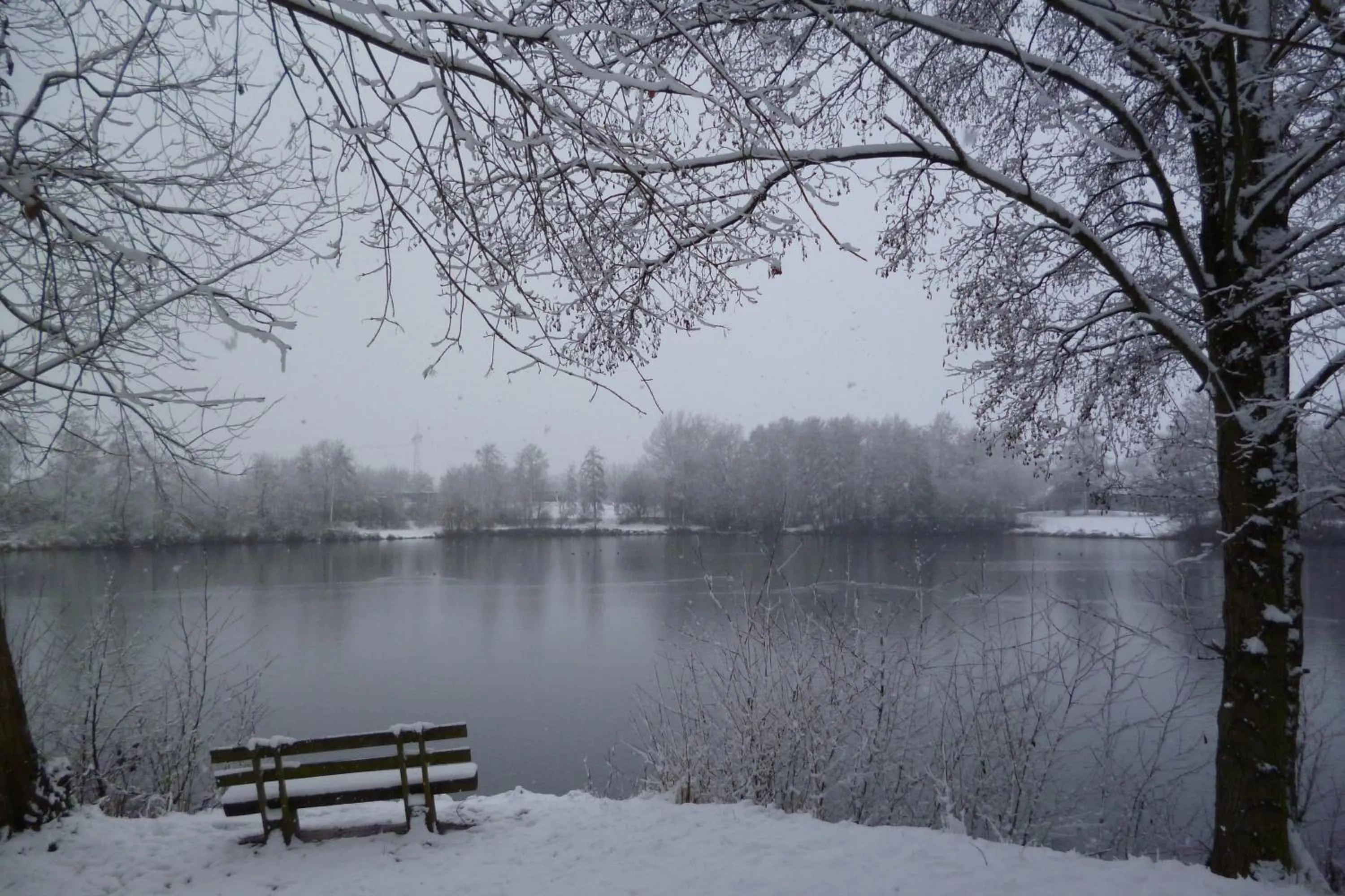 Natural landscape in Hotel Garni Sebastian