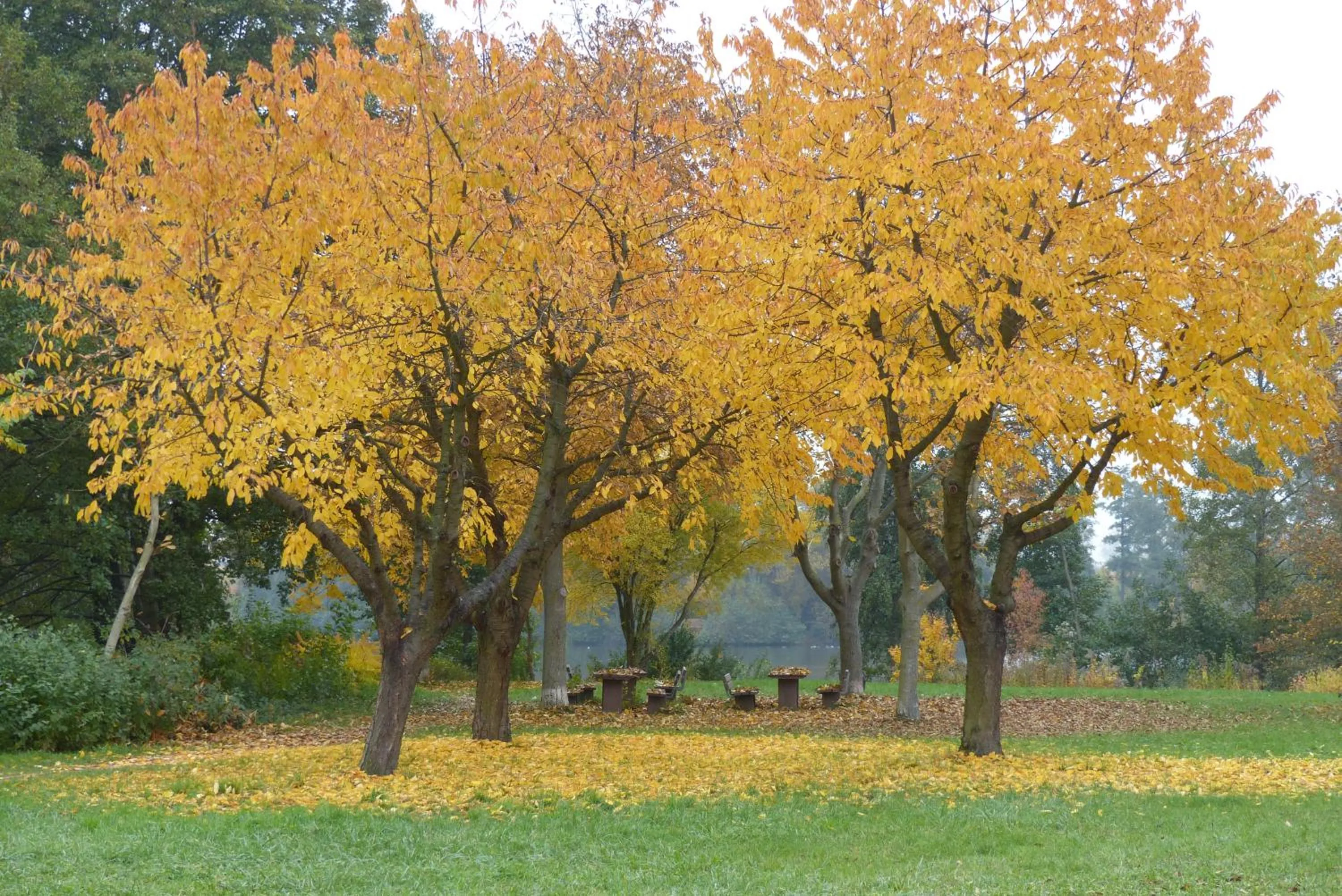 Day in Hotel Garni Sebastian
