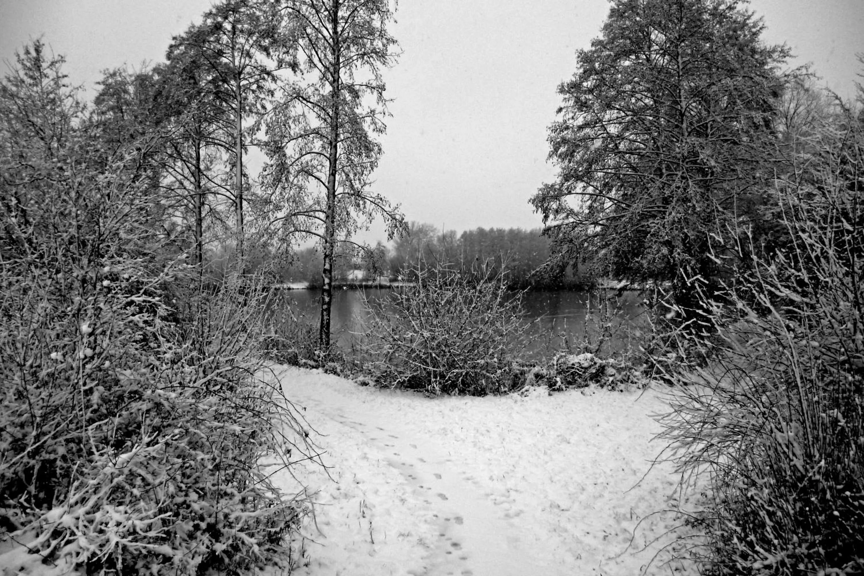 Natural landscape in Hotel Garni Sebastian