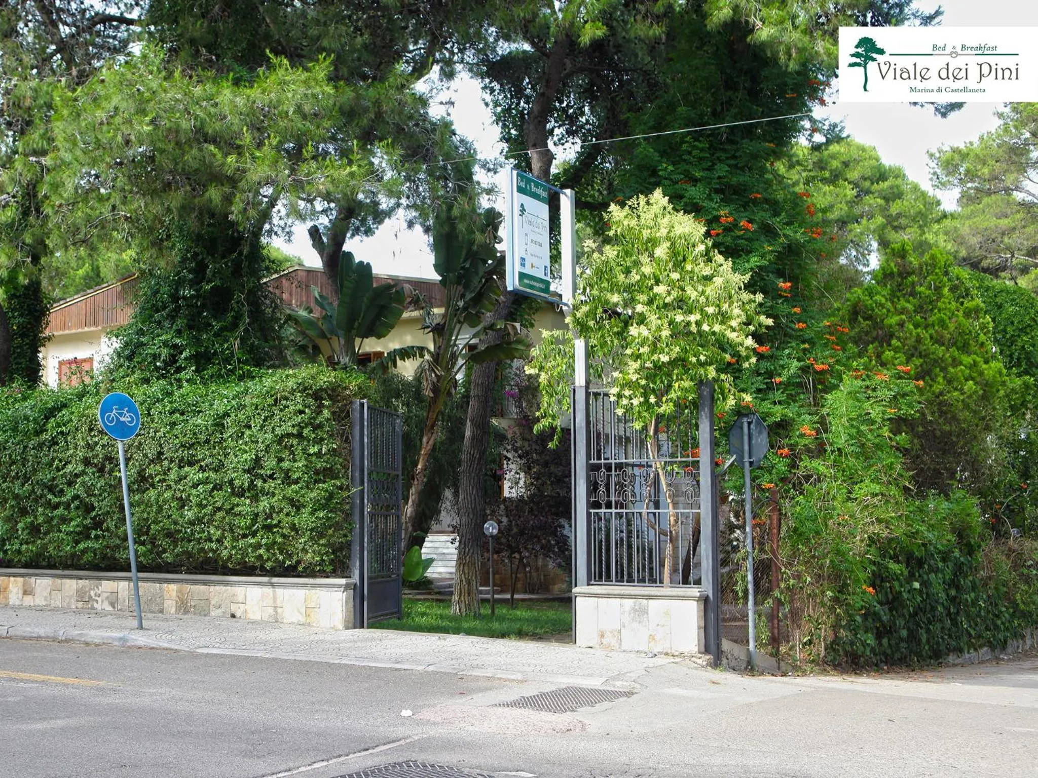 City view in B&B Viale dei Pini