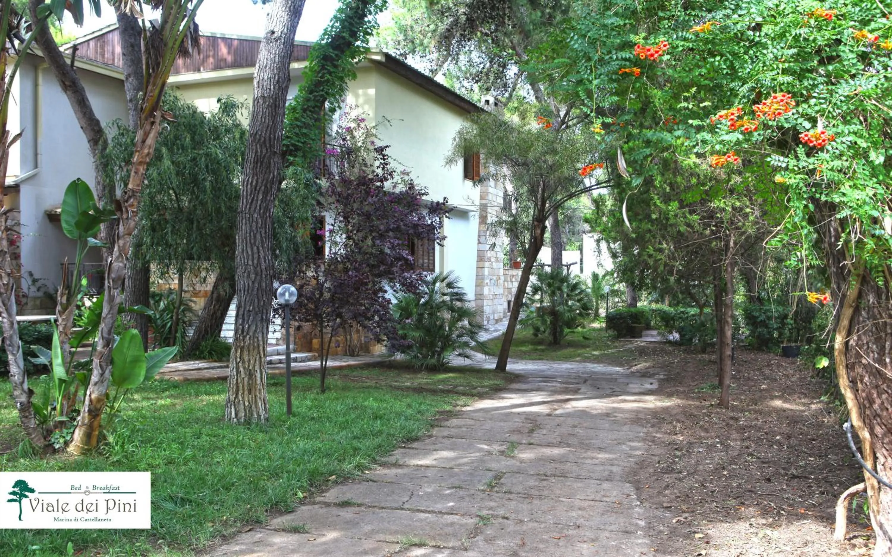 B&B Viale dei Pini