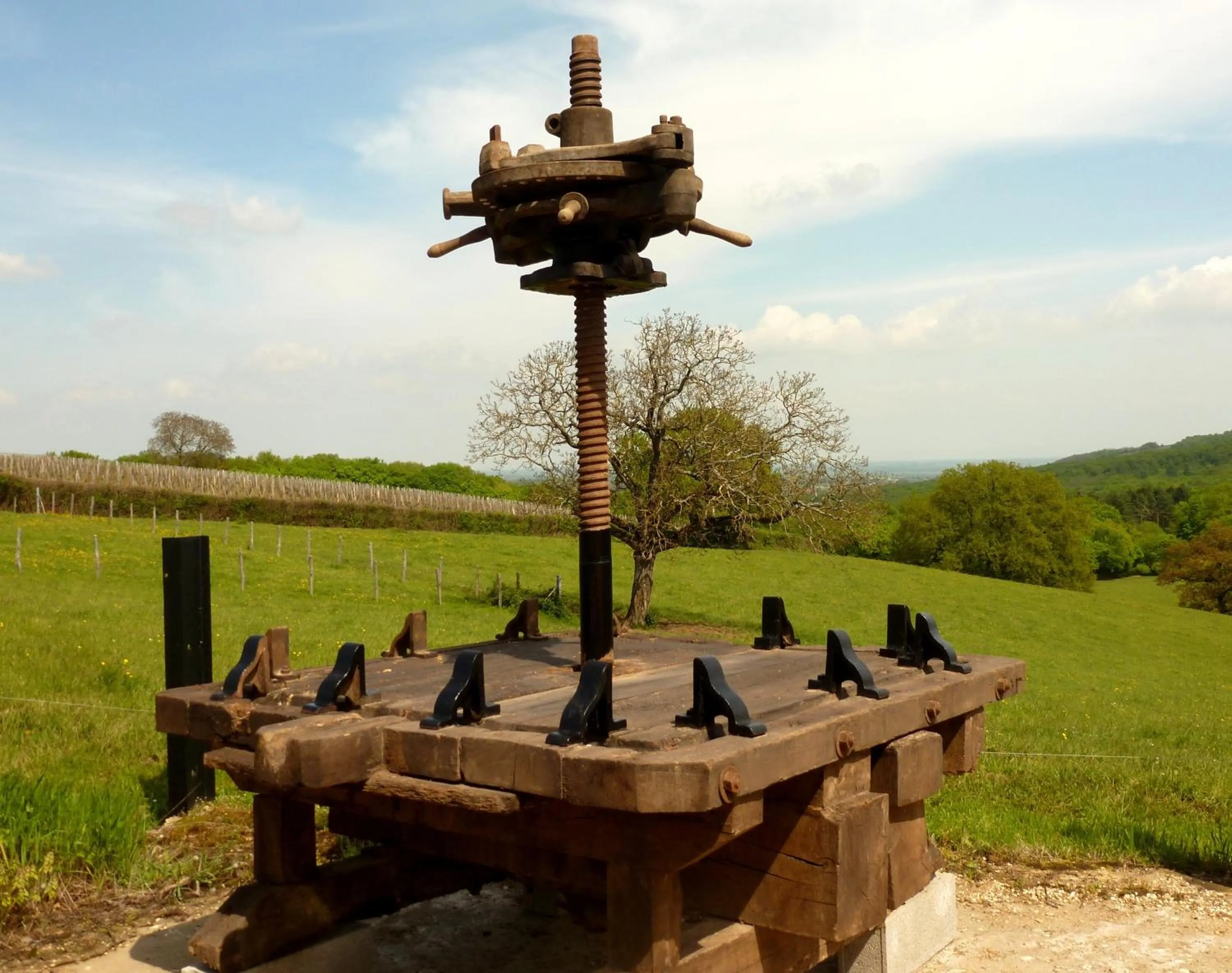 Natural landscape in Domaine Joseph LAFARGE Wine Resort Oeno-tonneaux expérience