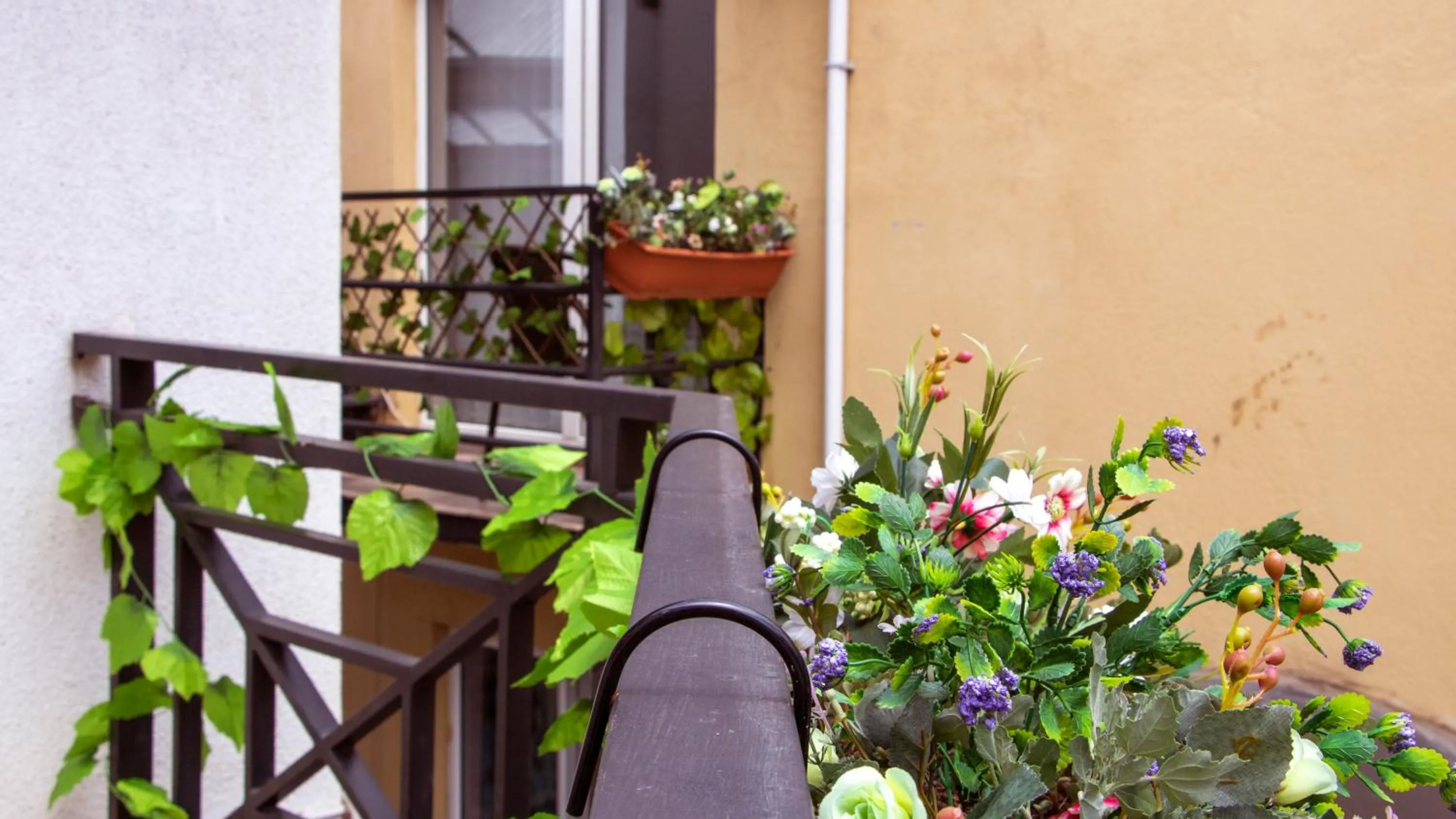 Patio in Hotel New Metekhi