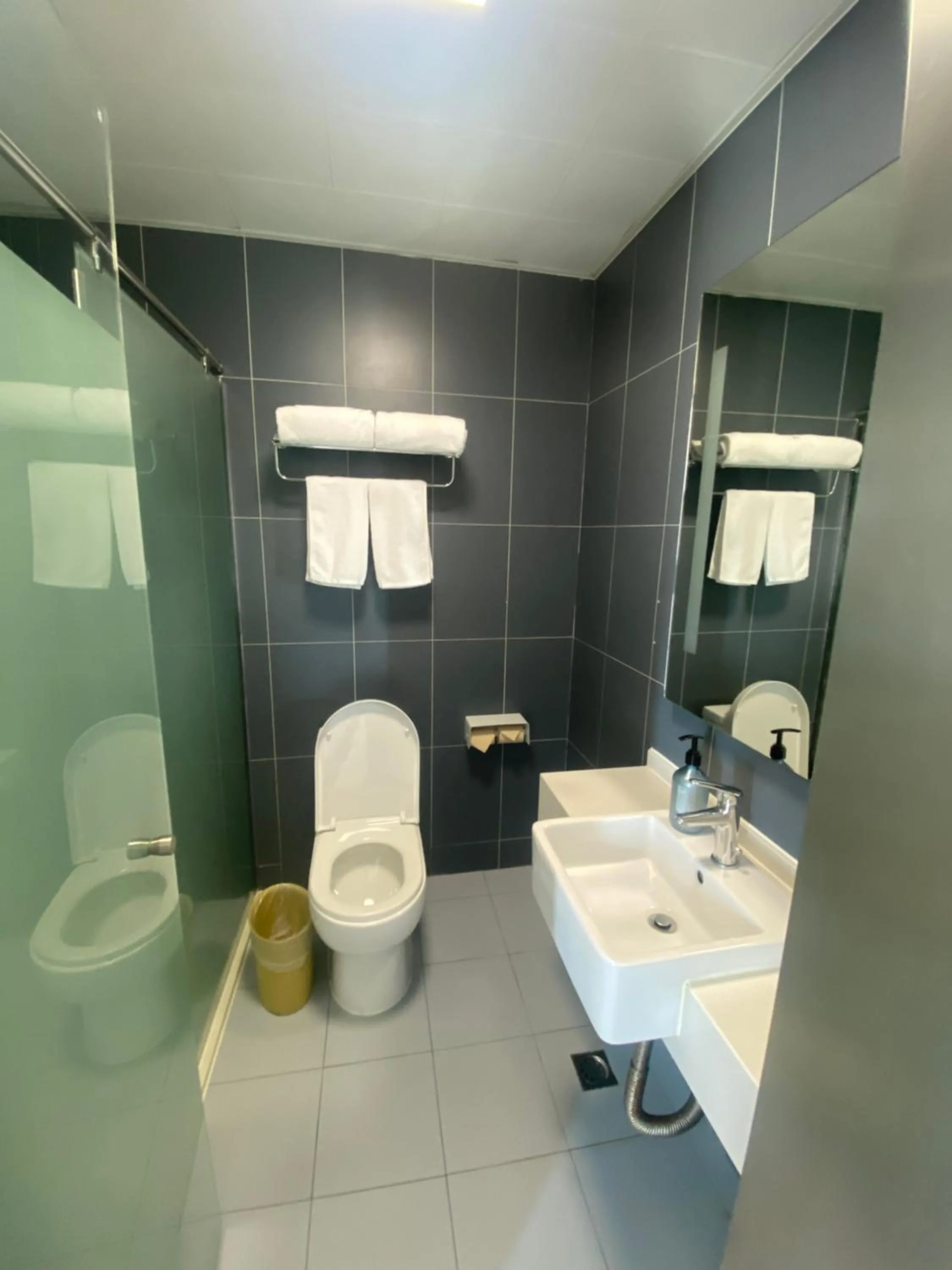 Hanting Hotel Shanghai International Tourism Resort