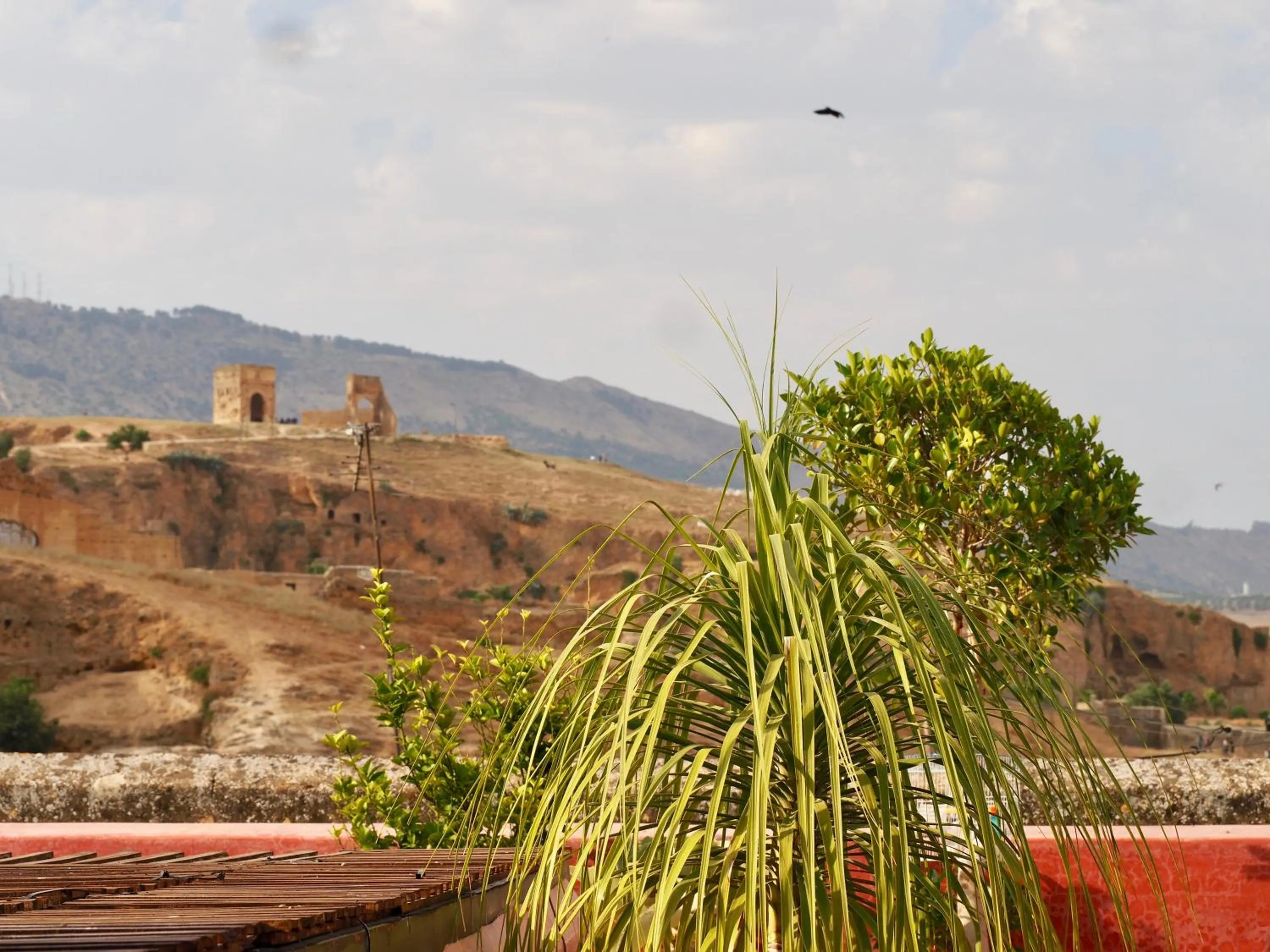 City view in Riad Toyour- Riad of birds