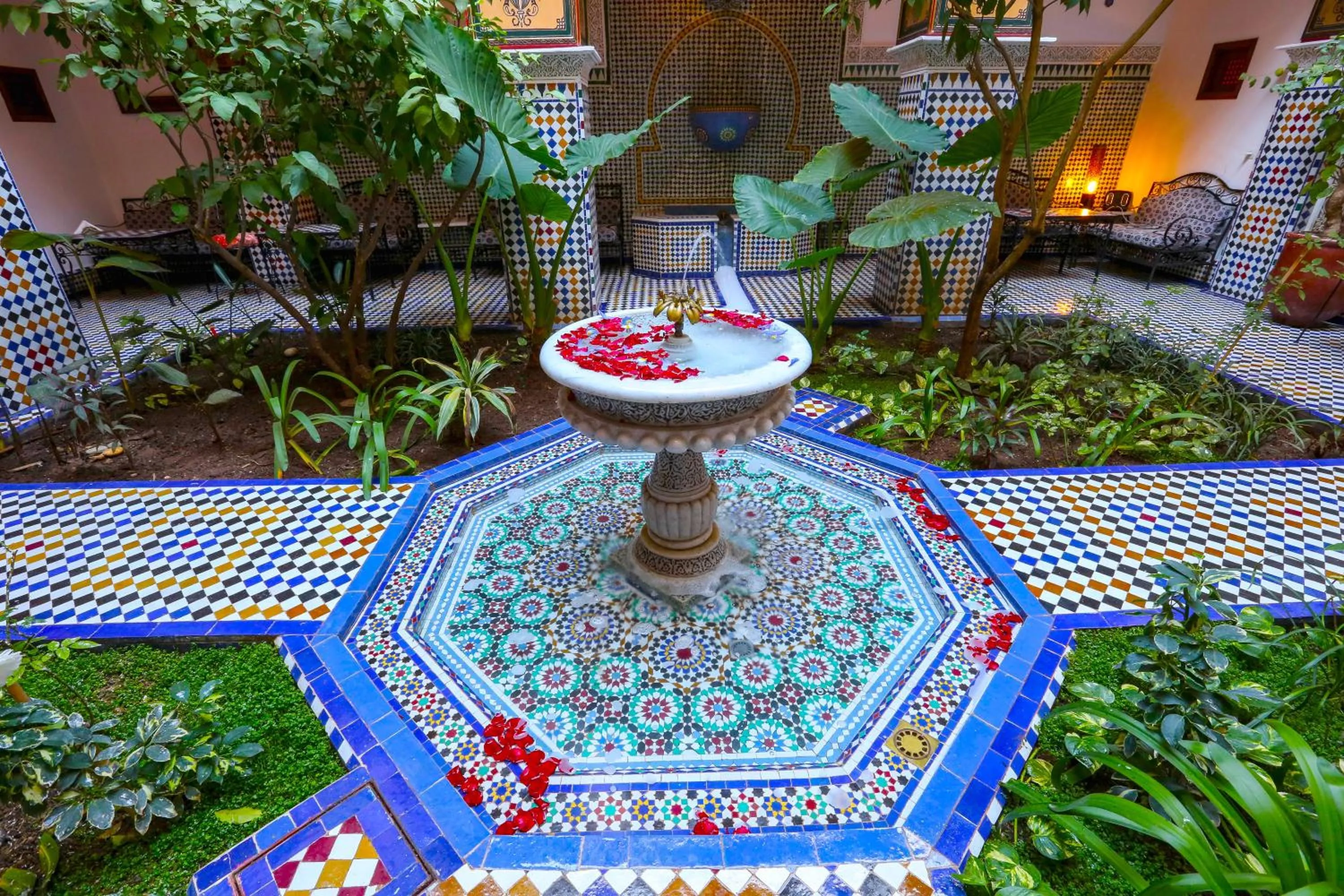 Patio in Riad Toyour- Riad of birds