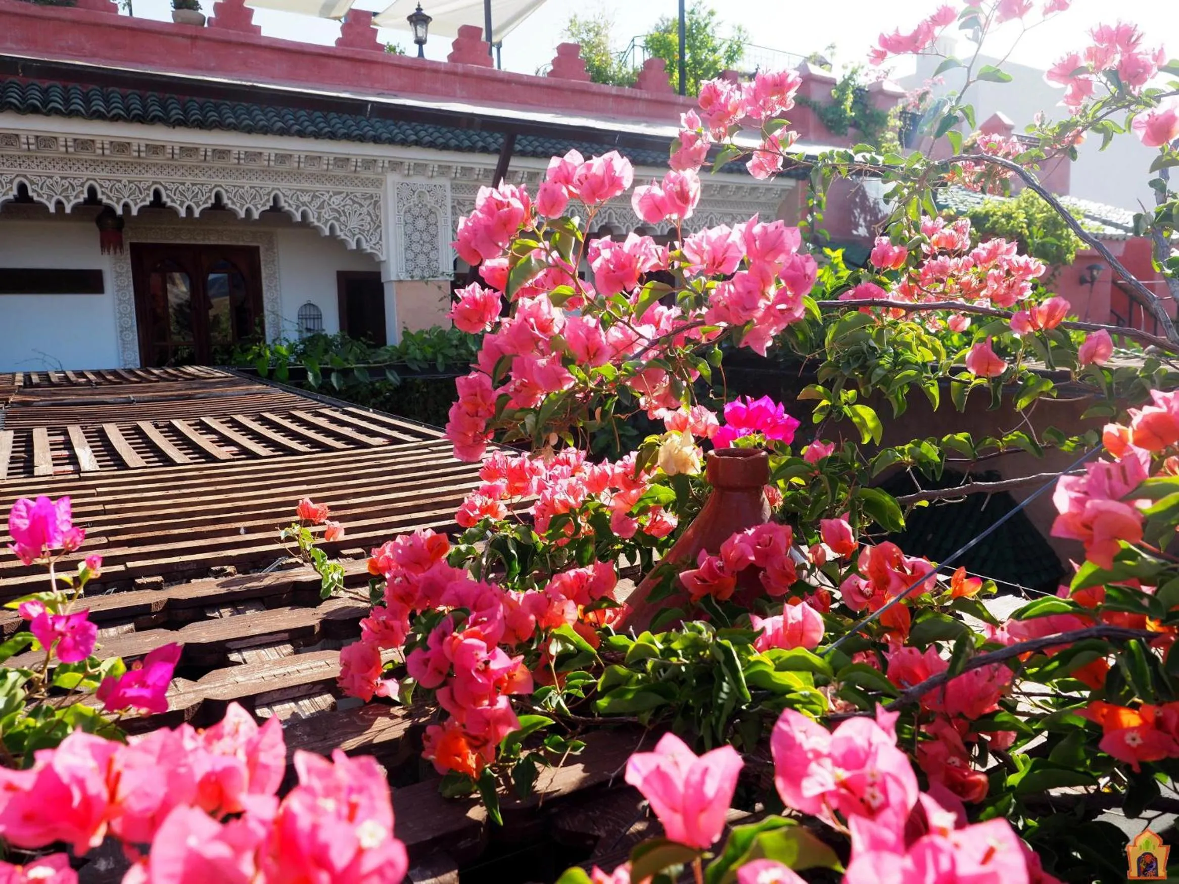 Patio in Riad Toyour- Riad of birds