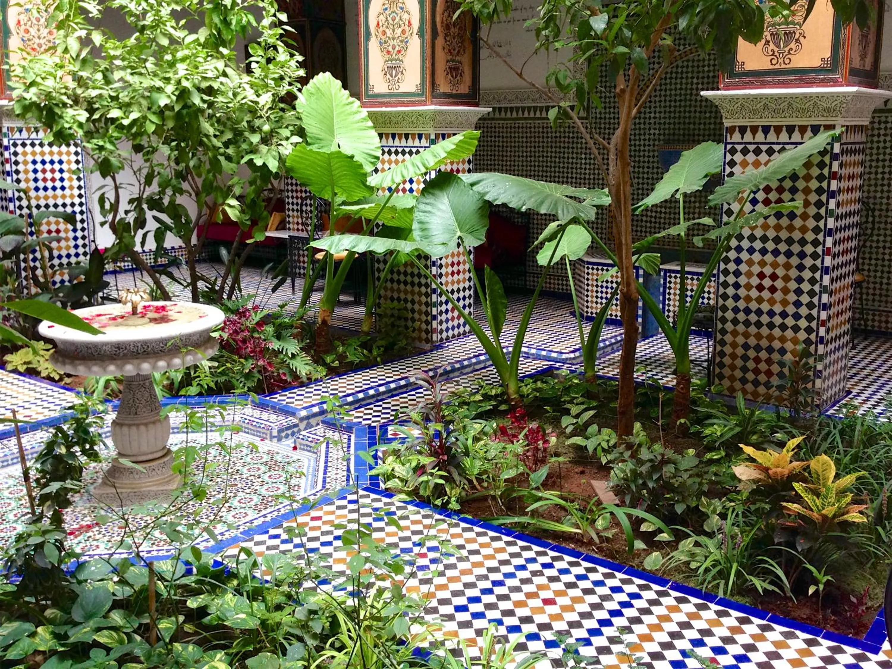 Patio in Riad Toyour- Riad of birds