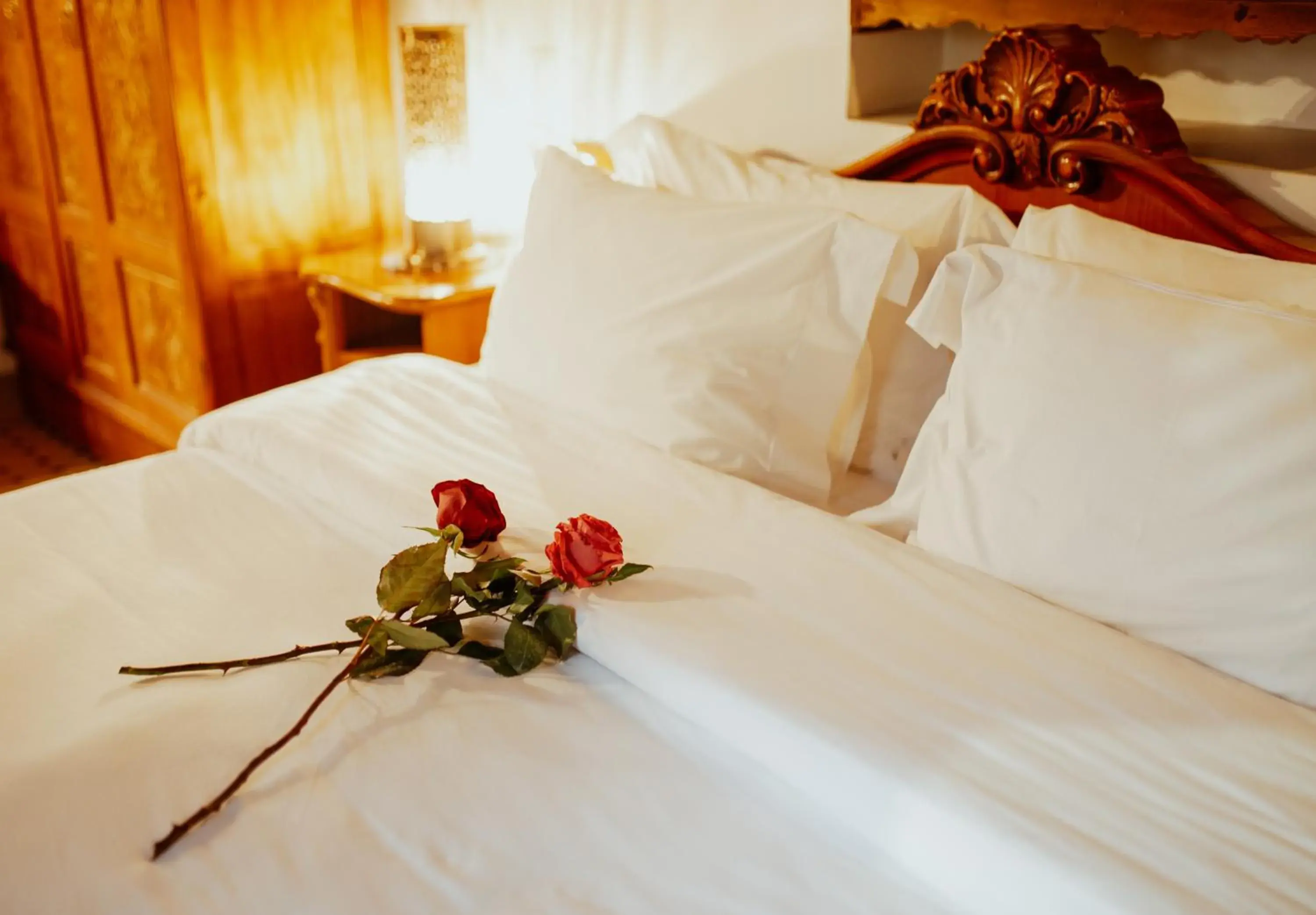 Suite LeChardonneret in Riad Toyour- Riad of birds Suite LeChardonneret in Riad Toyour- Riad of birds