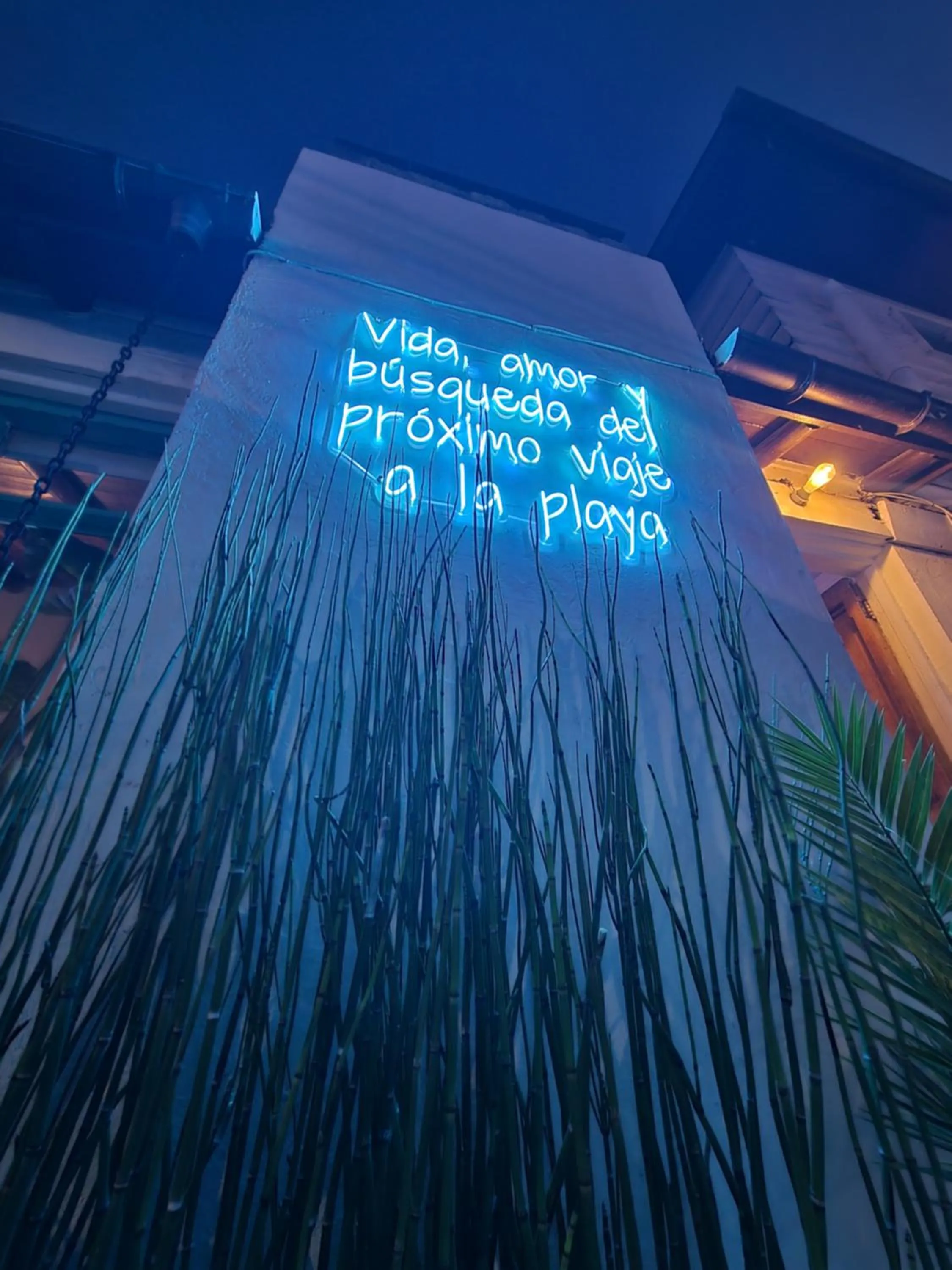 Patio in Reñaca House Hotel