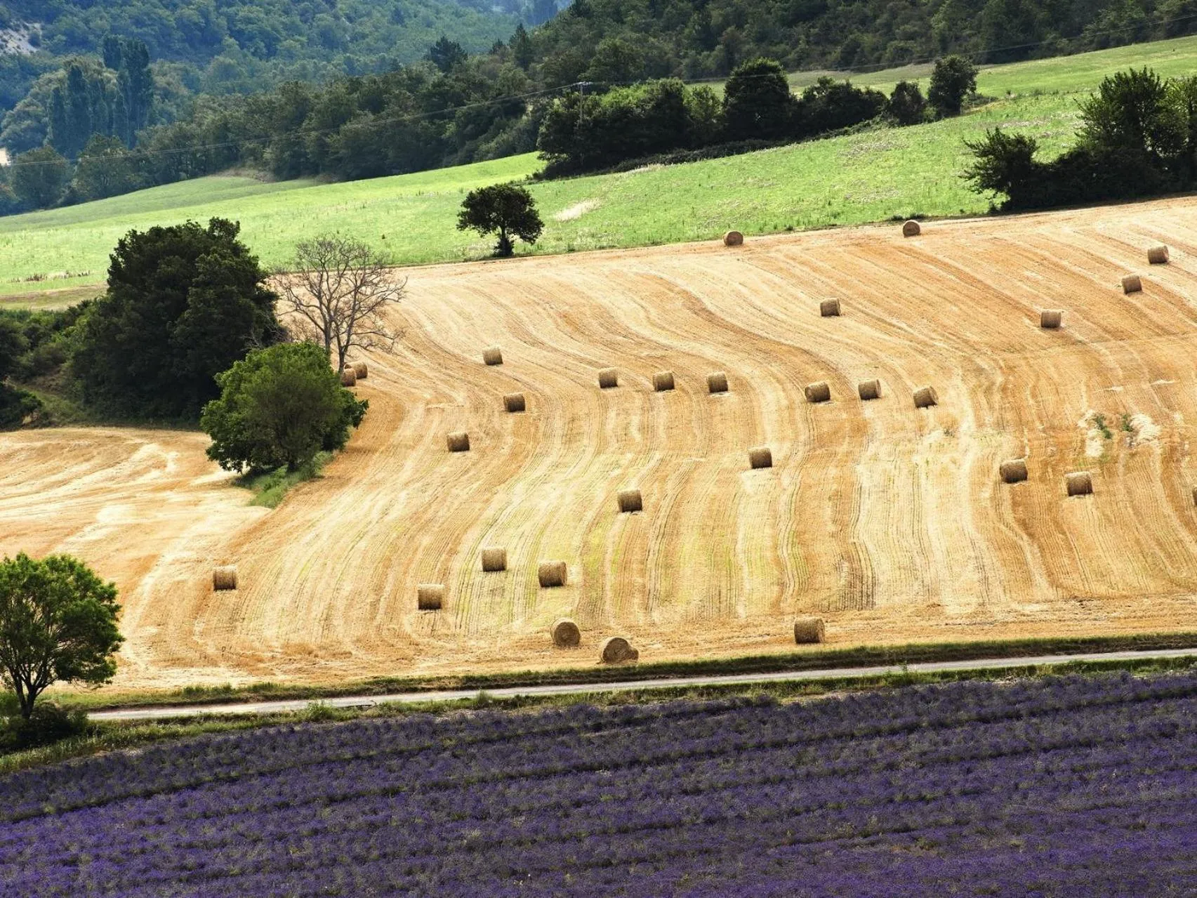 Property building in Hotel Galilee