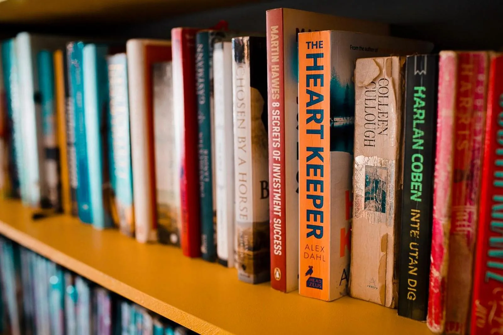 Library in The Black Sheep Backpackers