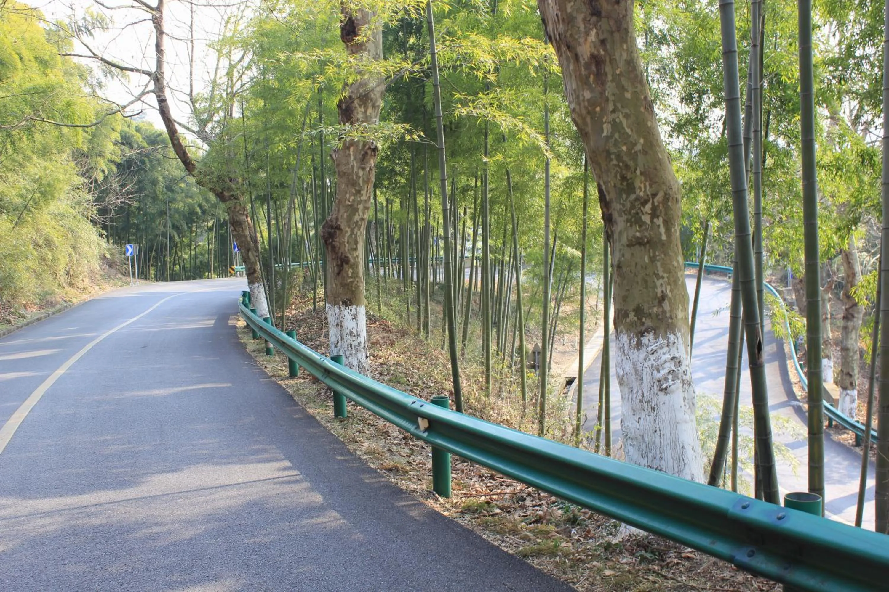 Natural landscape in Moganshan Pinhouwu Hotel
