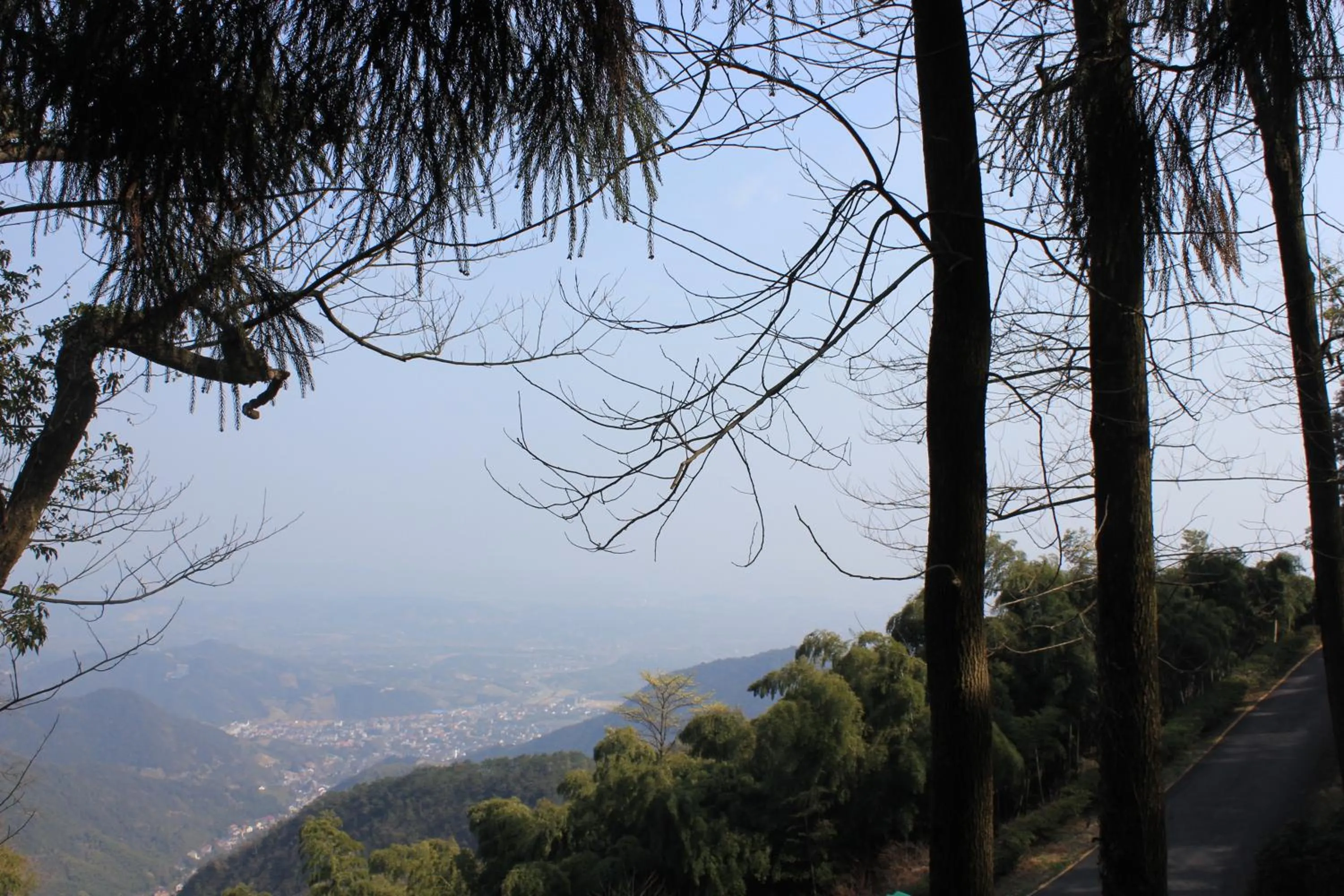 Natural landscape in Moganshan Pinhouwu Hotel