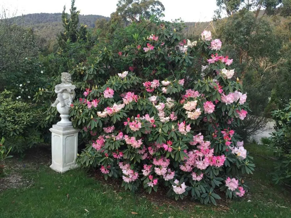 Home Farm Healesville