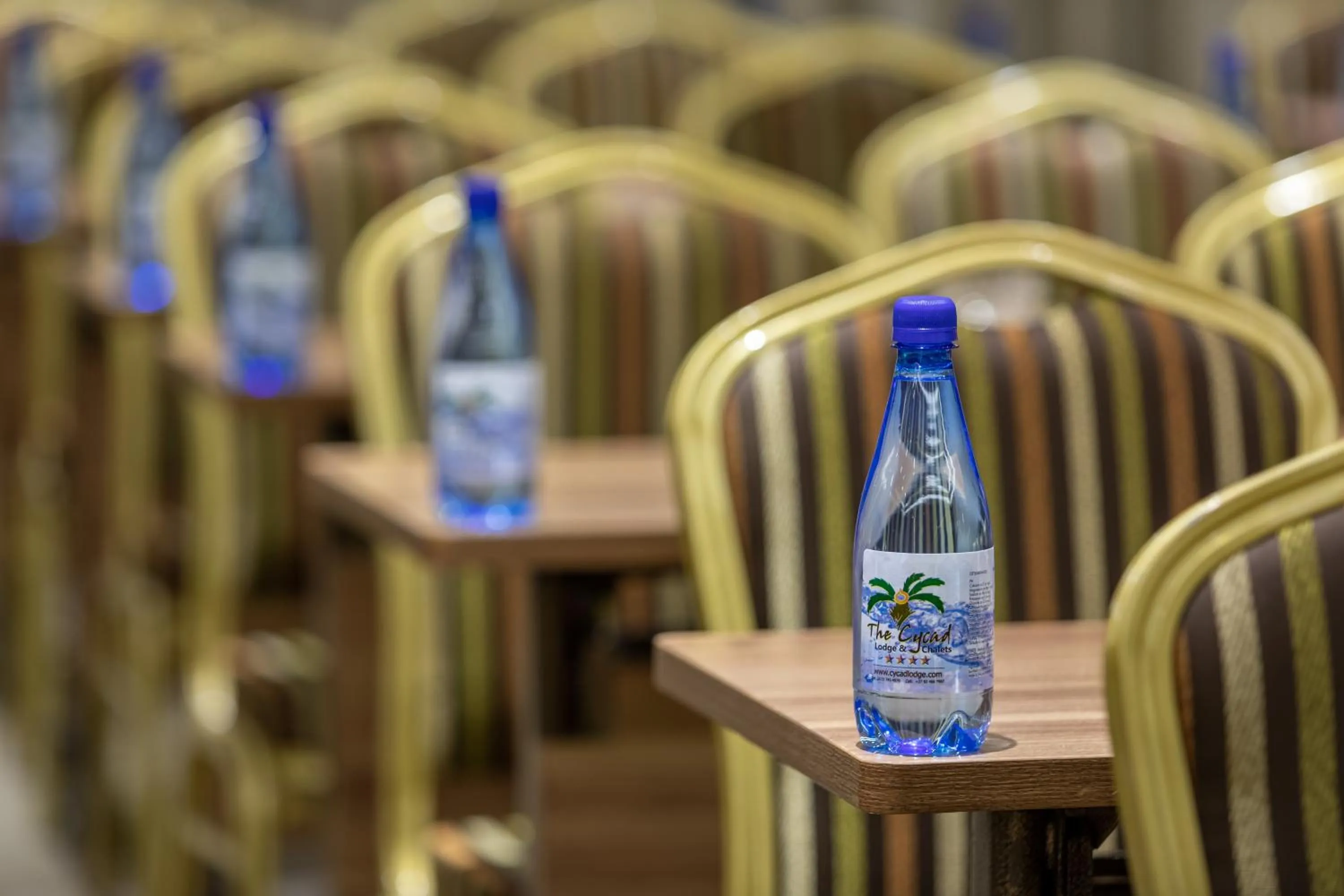 Meeting/conference room in The Cycad Lodge & Chalets