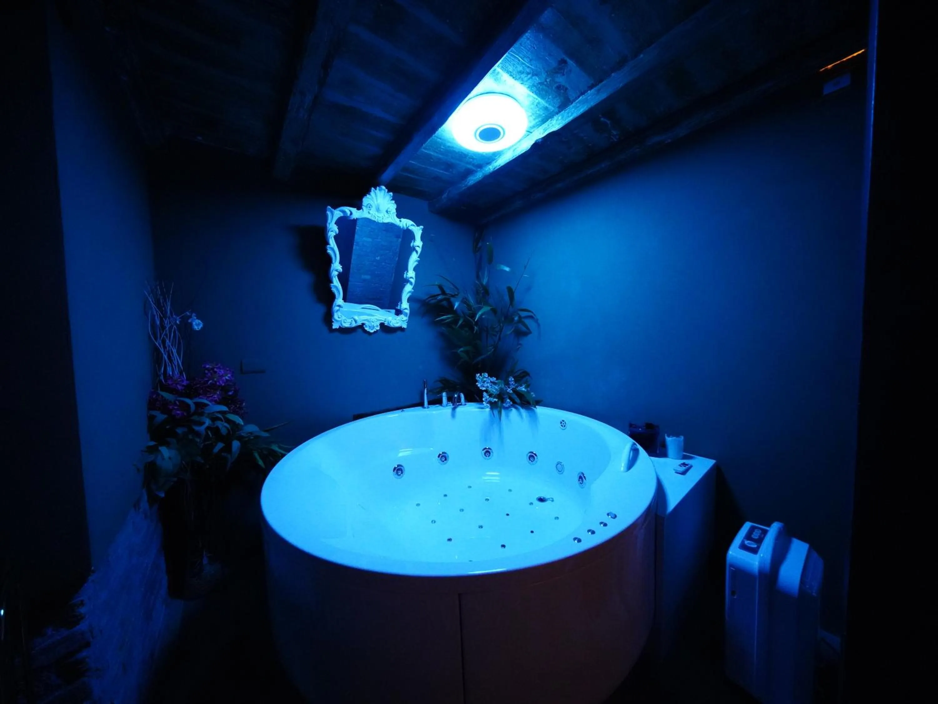 Nerva Accommodation Cavour