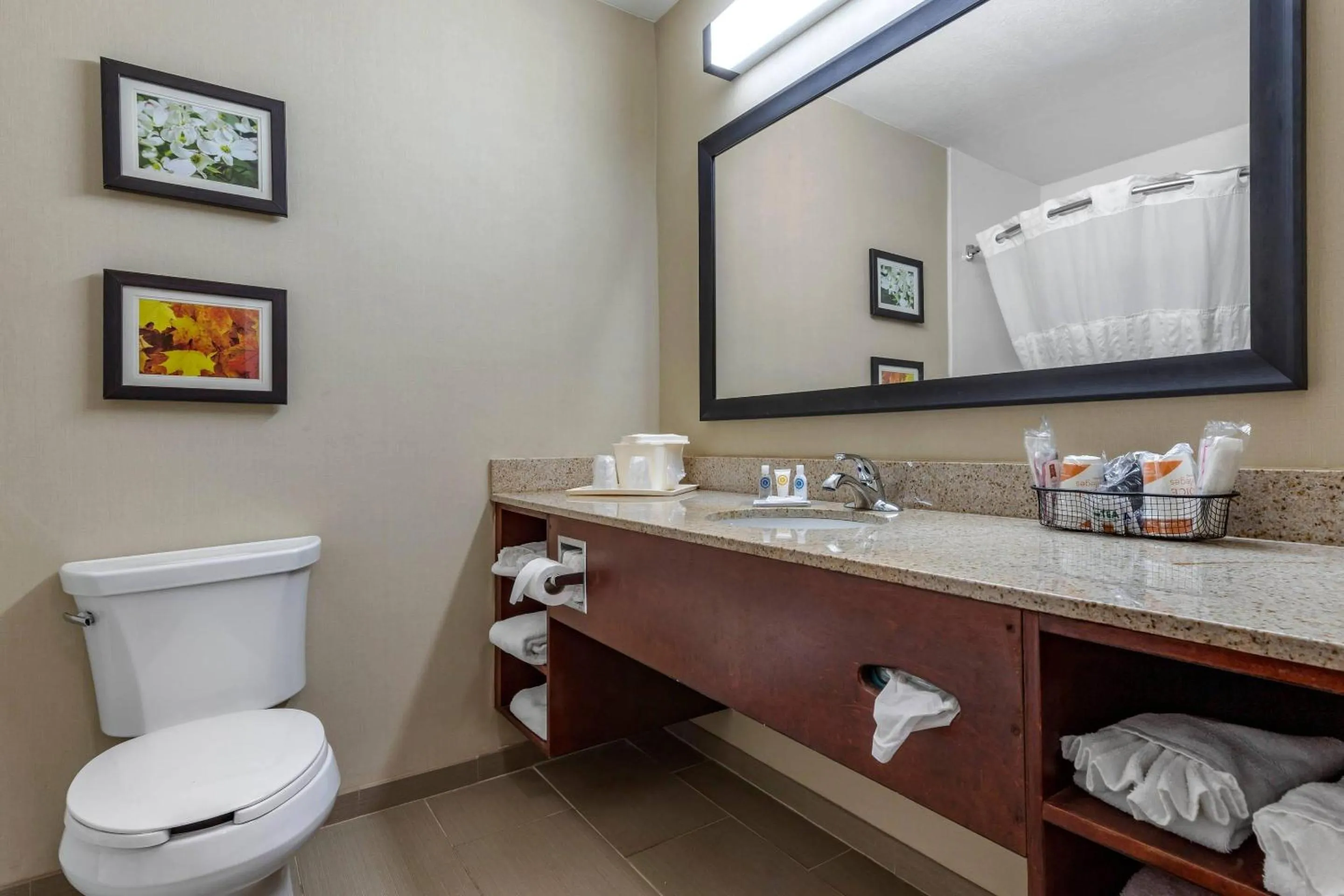 Bedroom in Comfort Inn Shelby