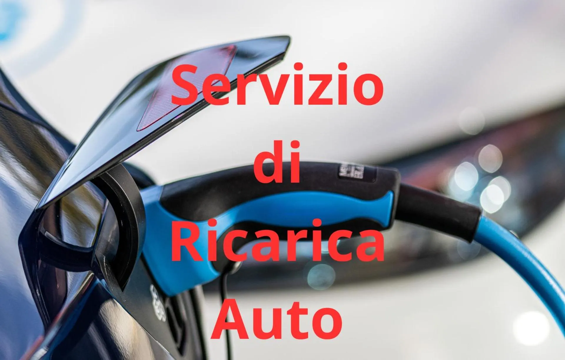 Belvedere Rent Rooms