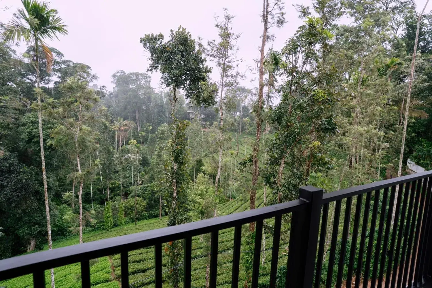 King Room with Balcony in The Feel Munnar Resort King Room with Balcony in The Feel Munnar Resort