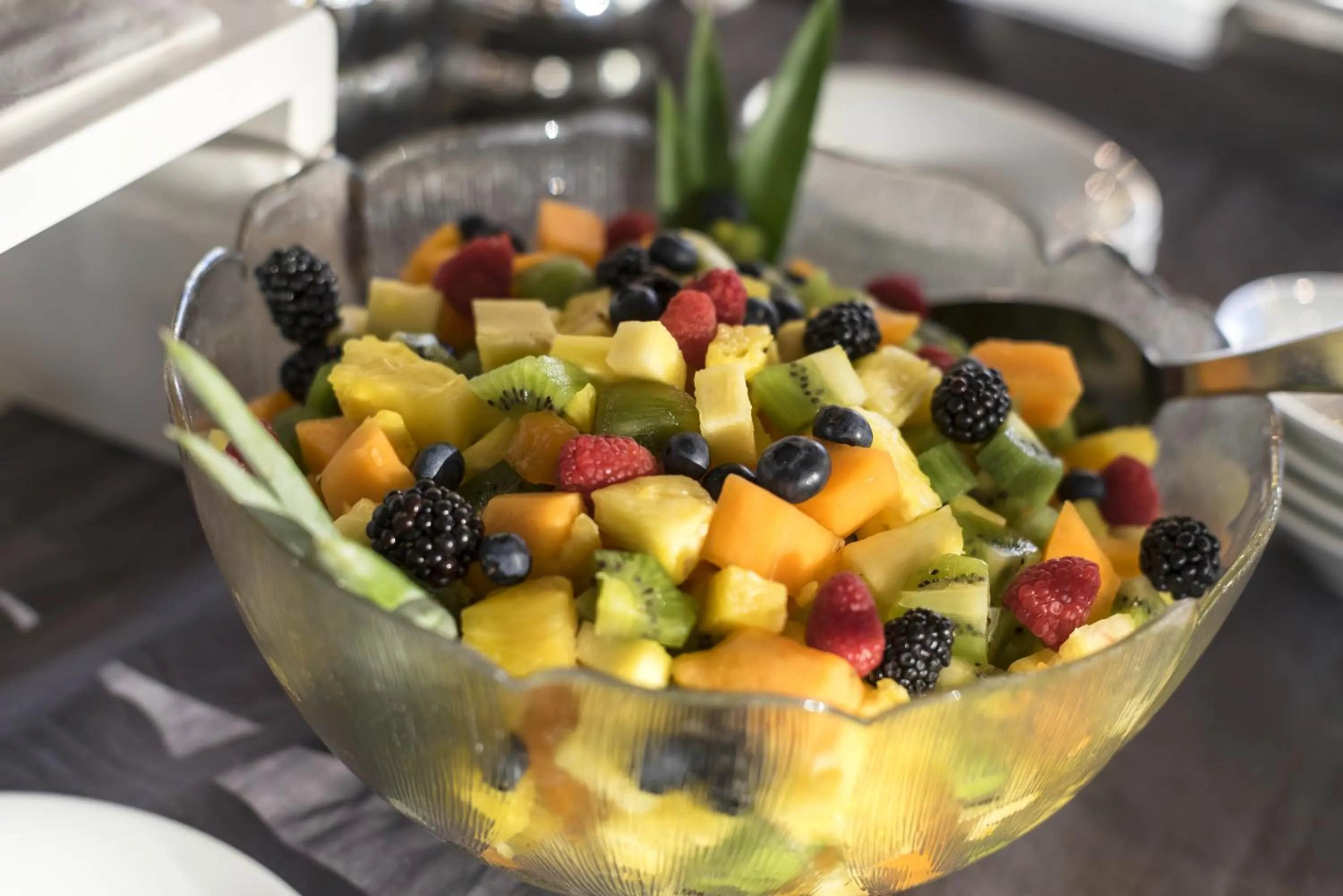 Restaurant/places to eat in Hotel Ambasciatori