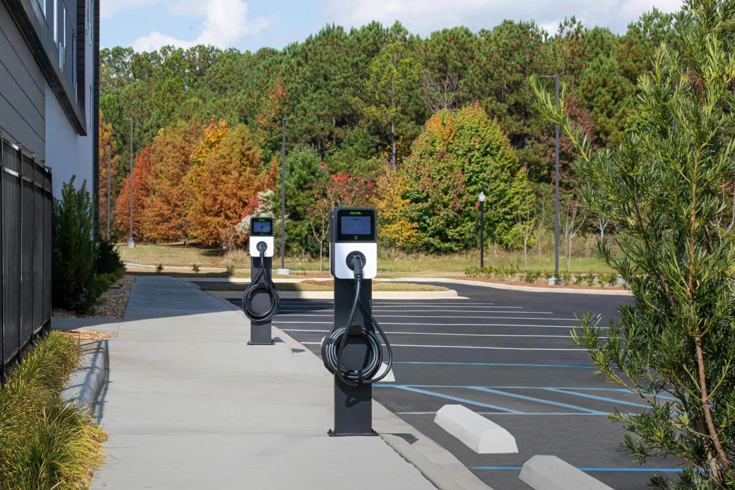 Other in Element Opelika Auburn