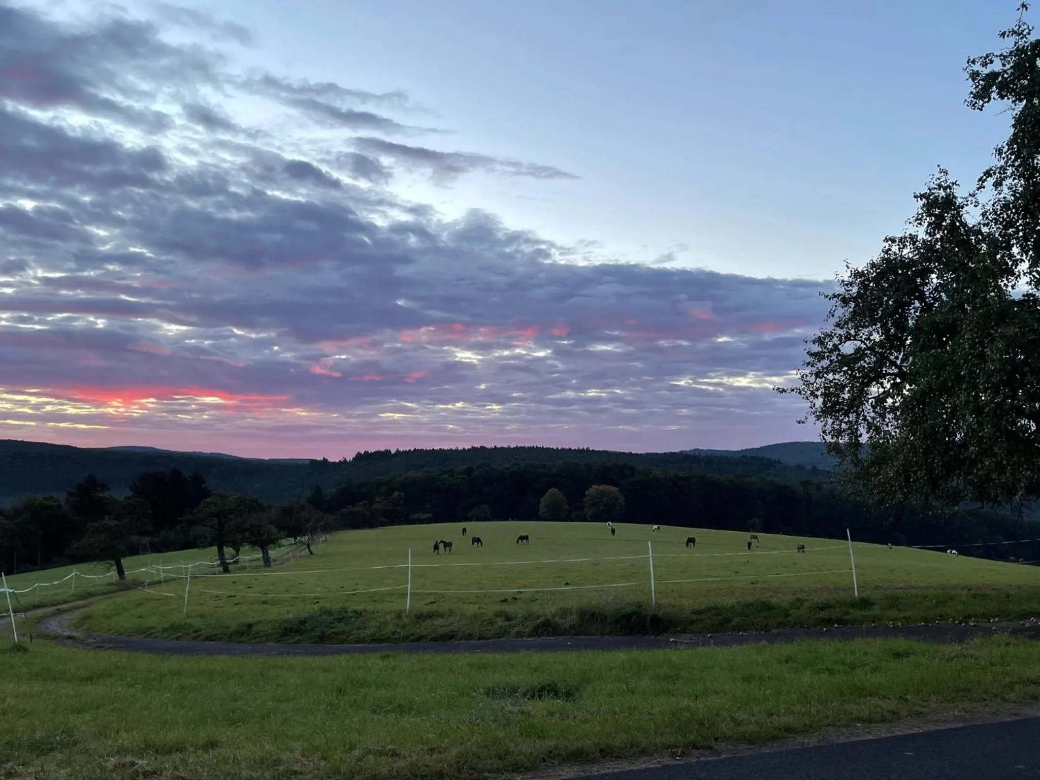 Area and facilities in Landhotel Heimathenhof