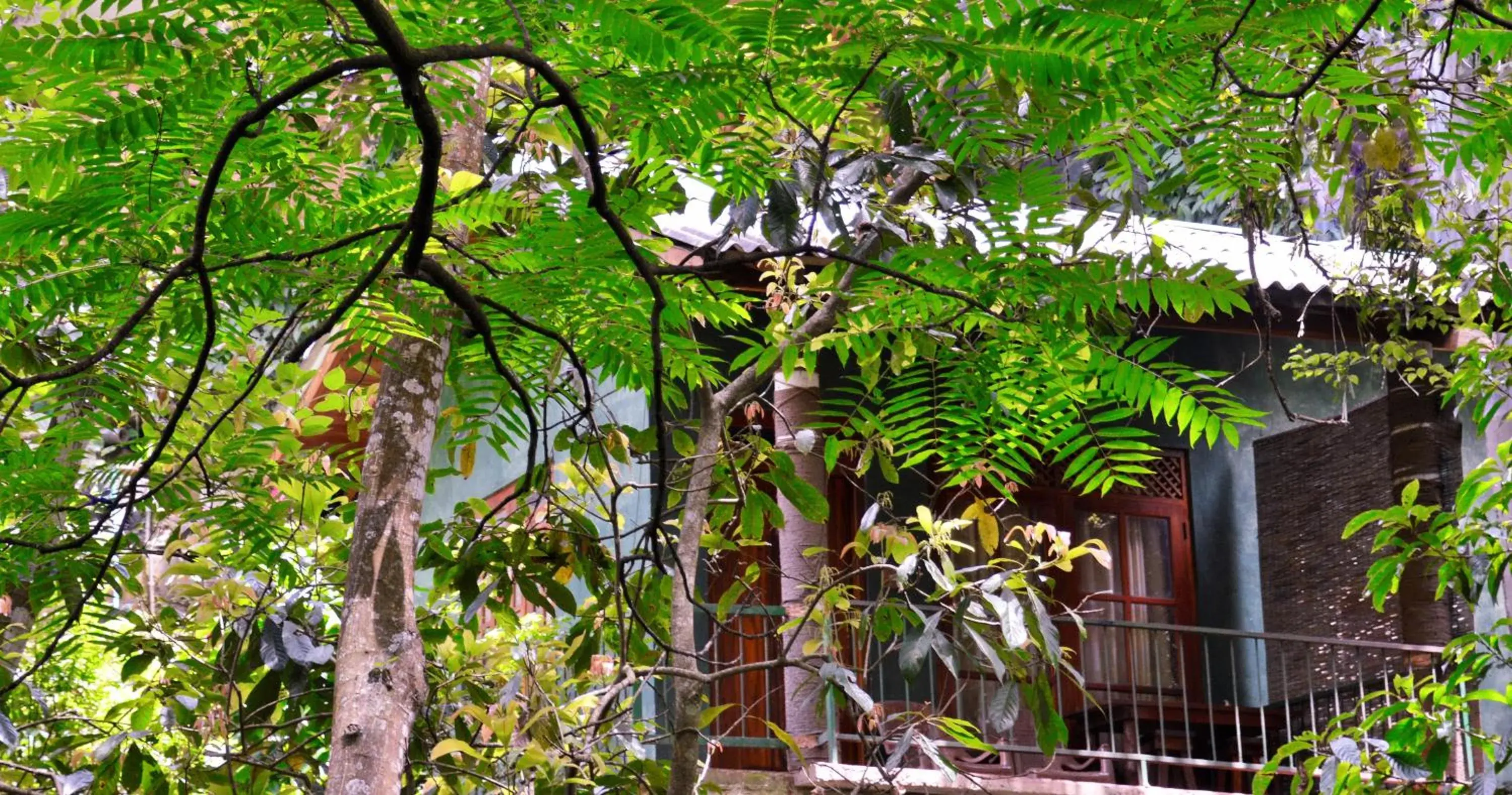 Forest View Villa - single occupancy in Ella Green Cottages Forest View Villa - single occupancy in Ella Green Cottages