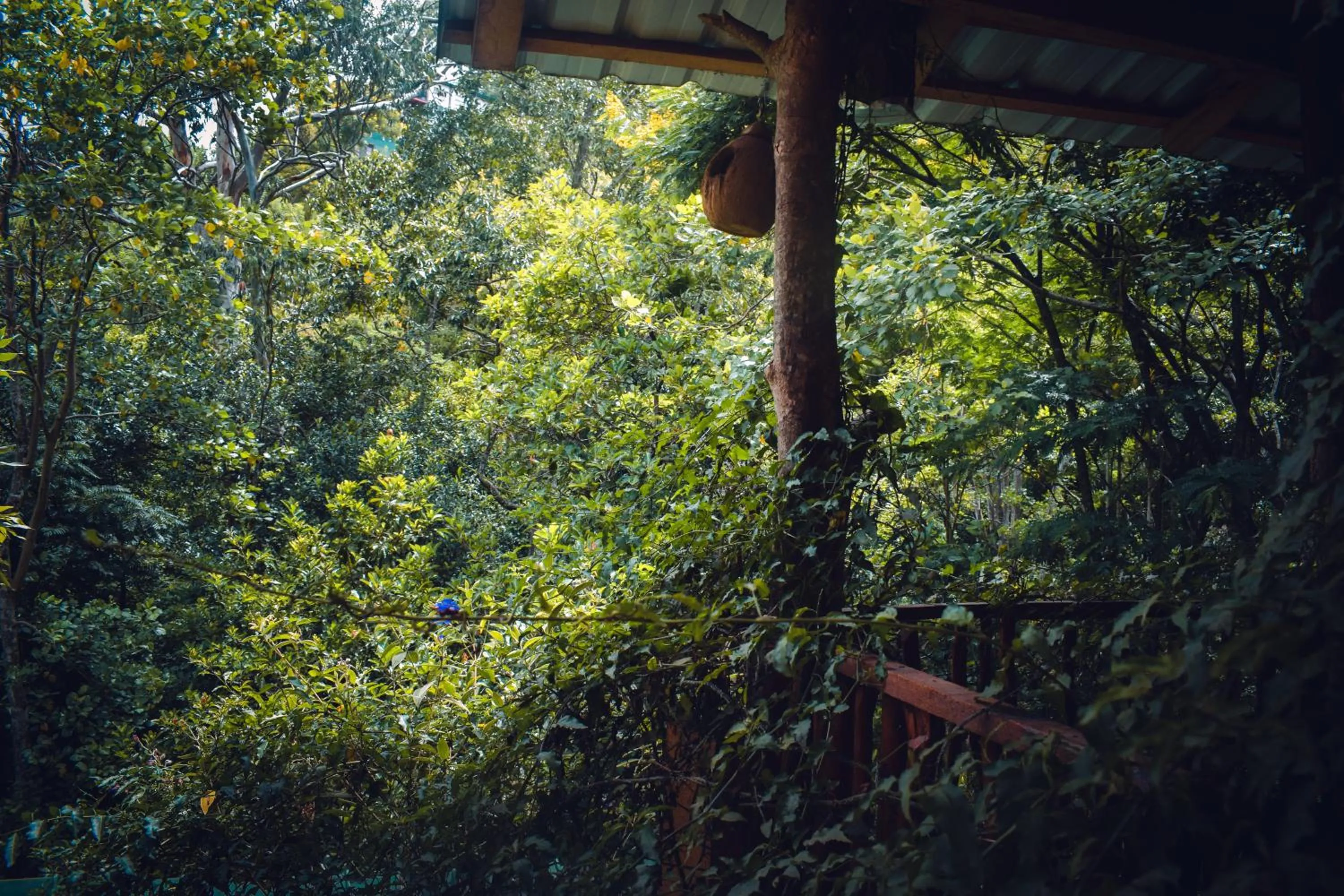 Off site in Ella Green Cottages