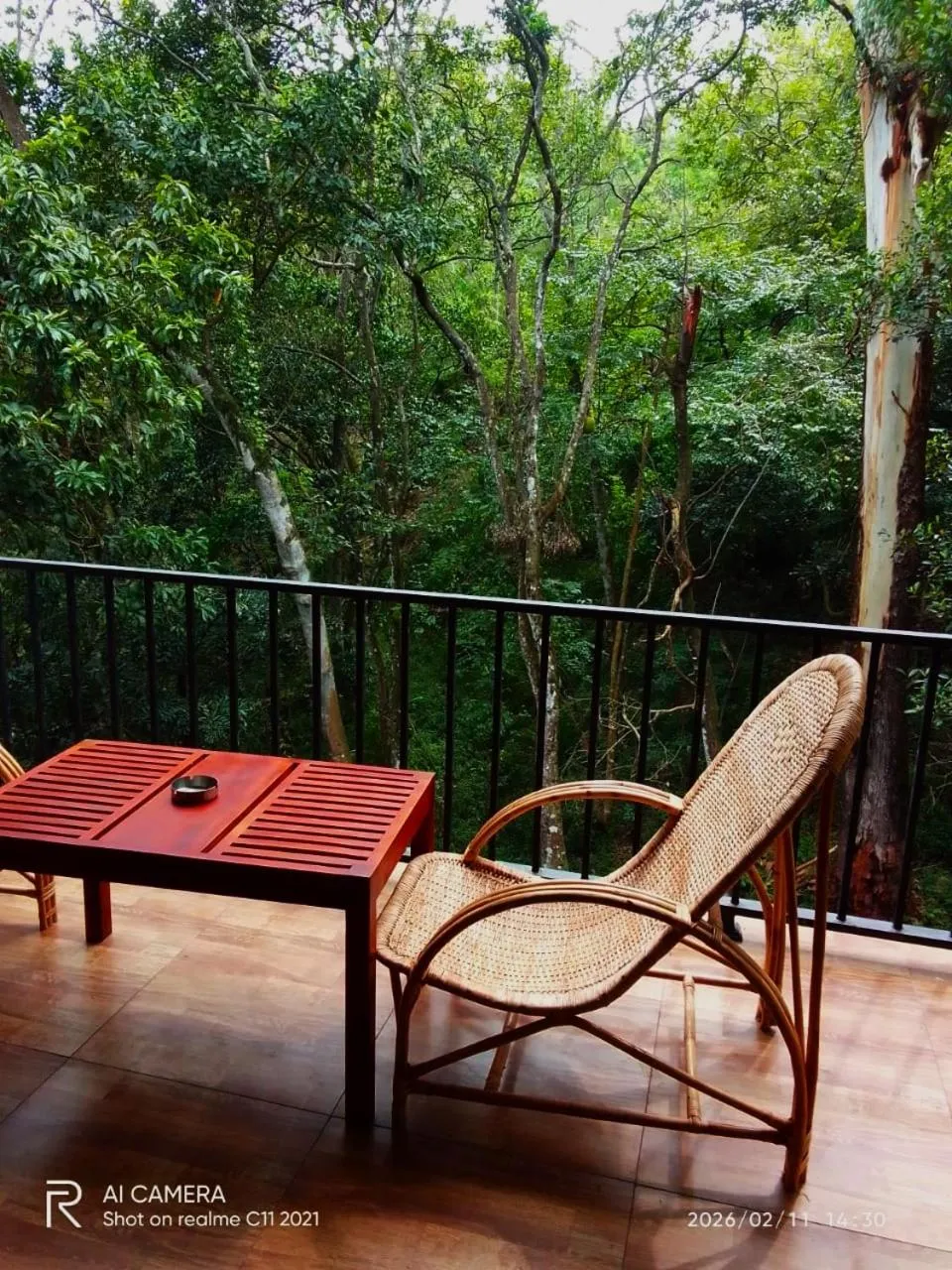 View (from property/room) in Ella Green Cottages